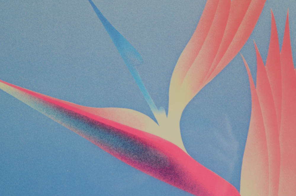 William Todd Haile Signed Botanical Prints