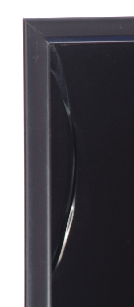 William Todd Haile Signed Botanical Prints