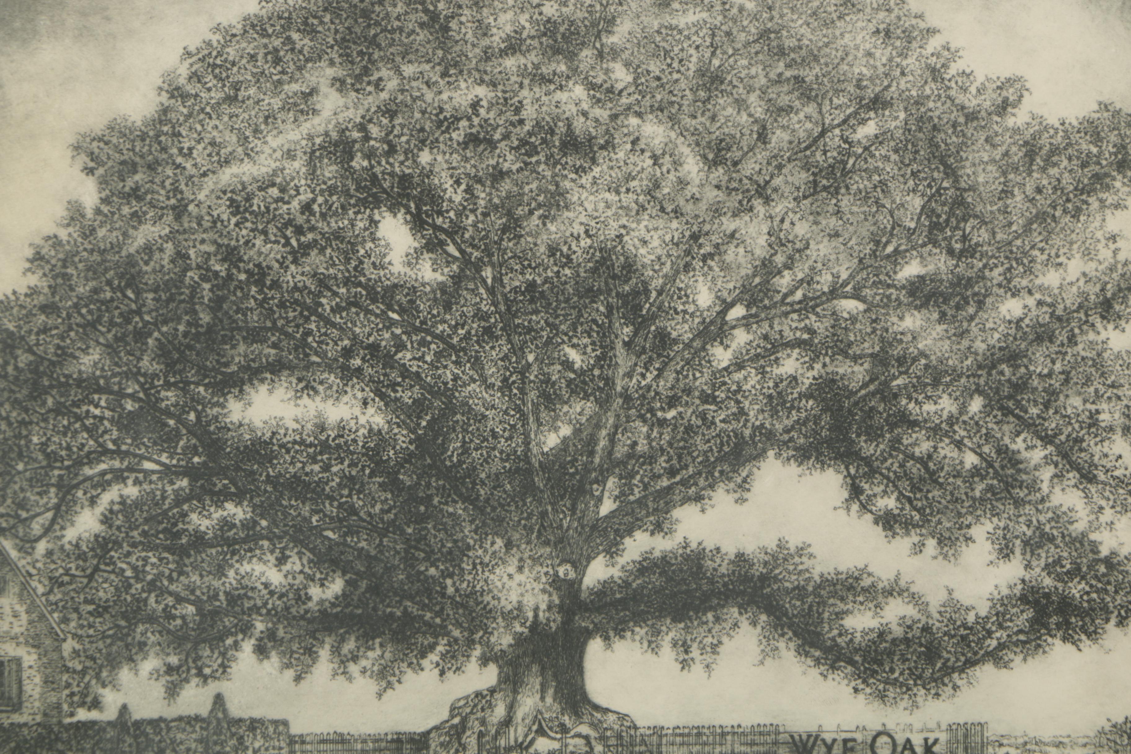 Erma Davis Bates Drypoint Etching "Wye Oak"