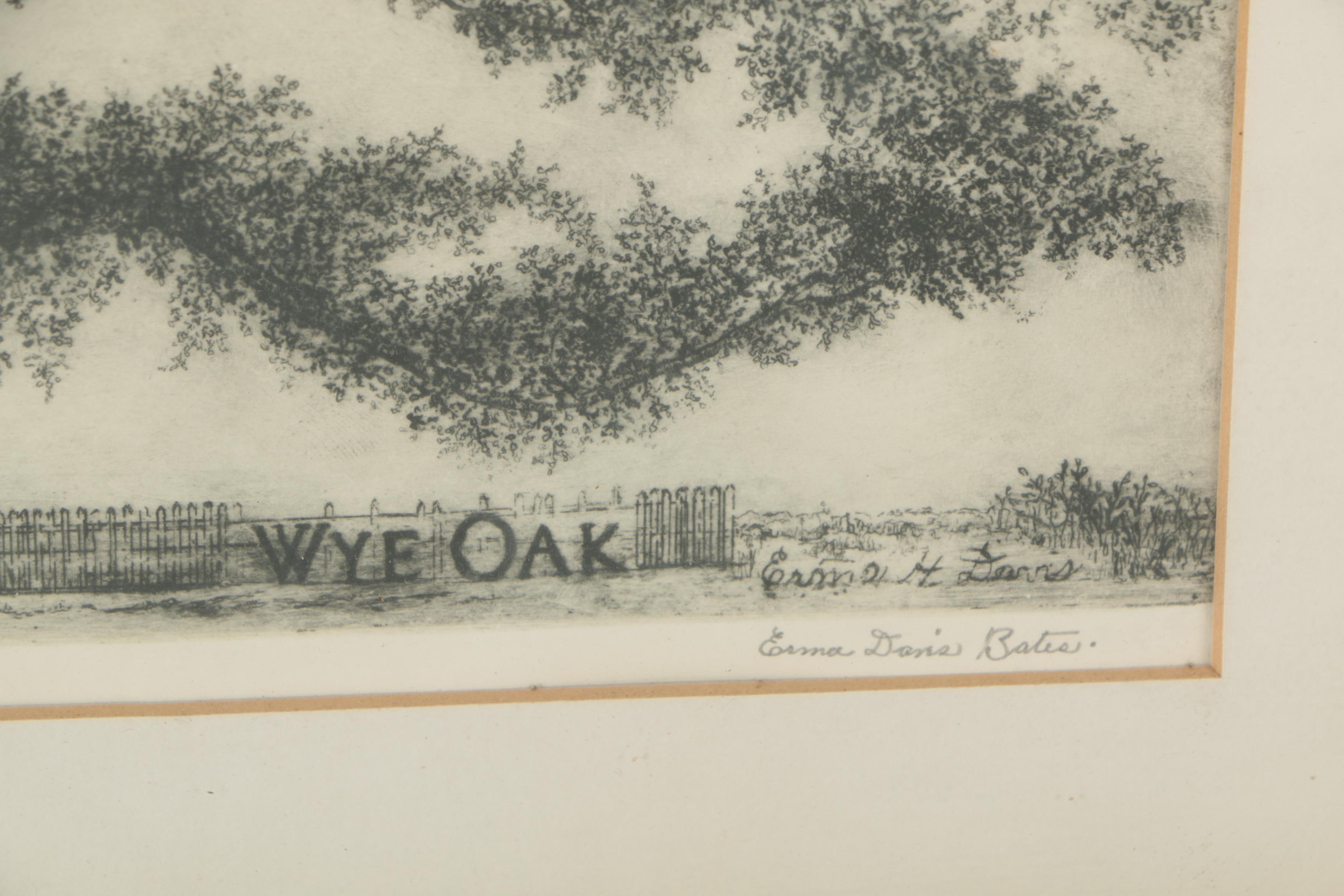 Erma Davis Bates Drypoint Etching "Wye Oak"