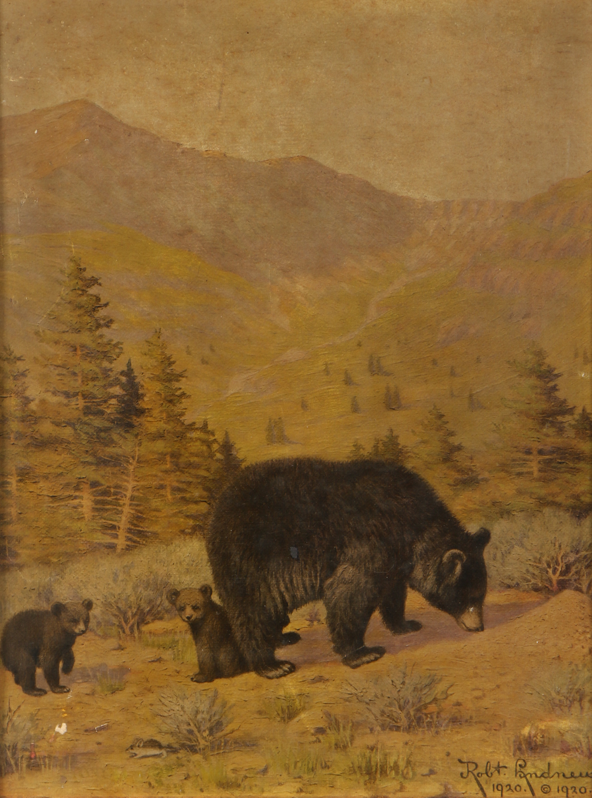 Vintage Offset Lithograph of Bears