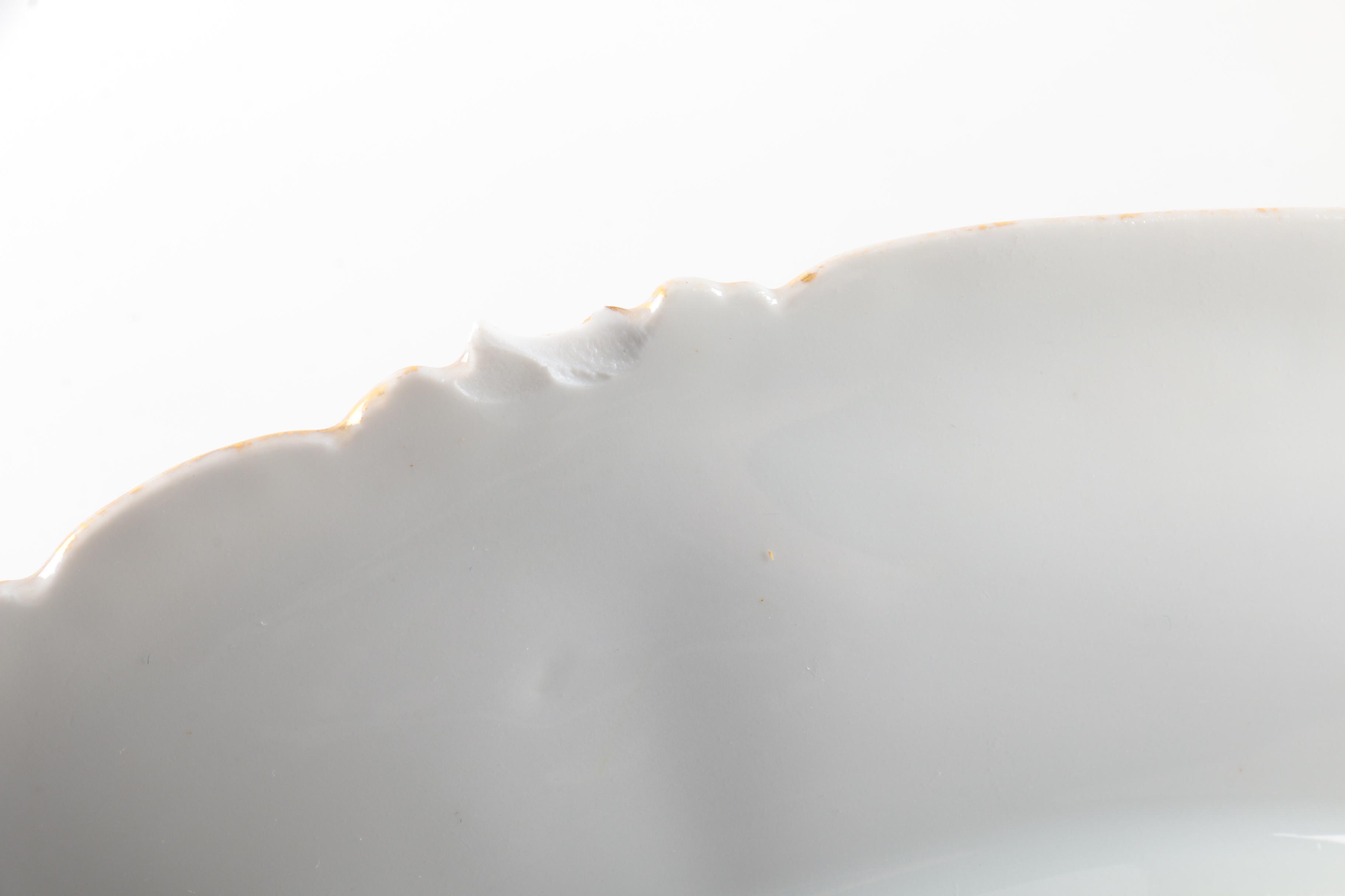 Vintage Haviland Limoges Porcelain Tableware