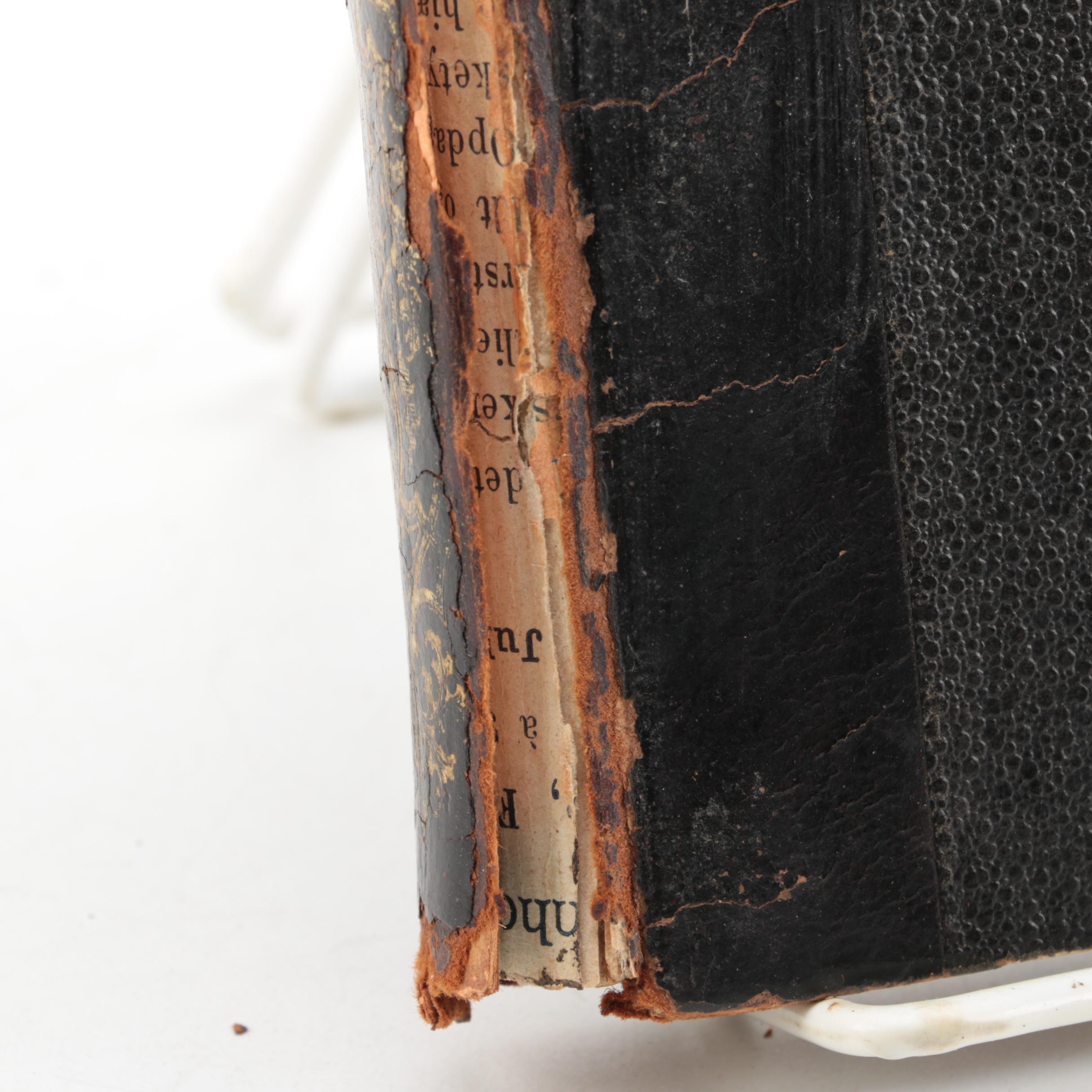 Antique Danish Texts and Assorted Books