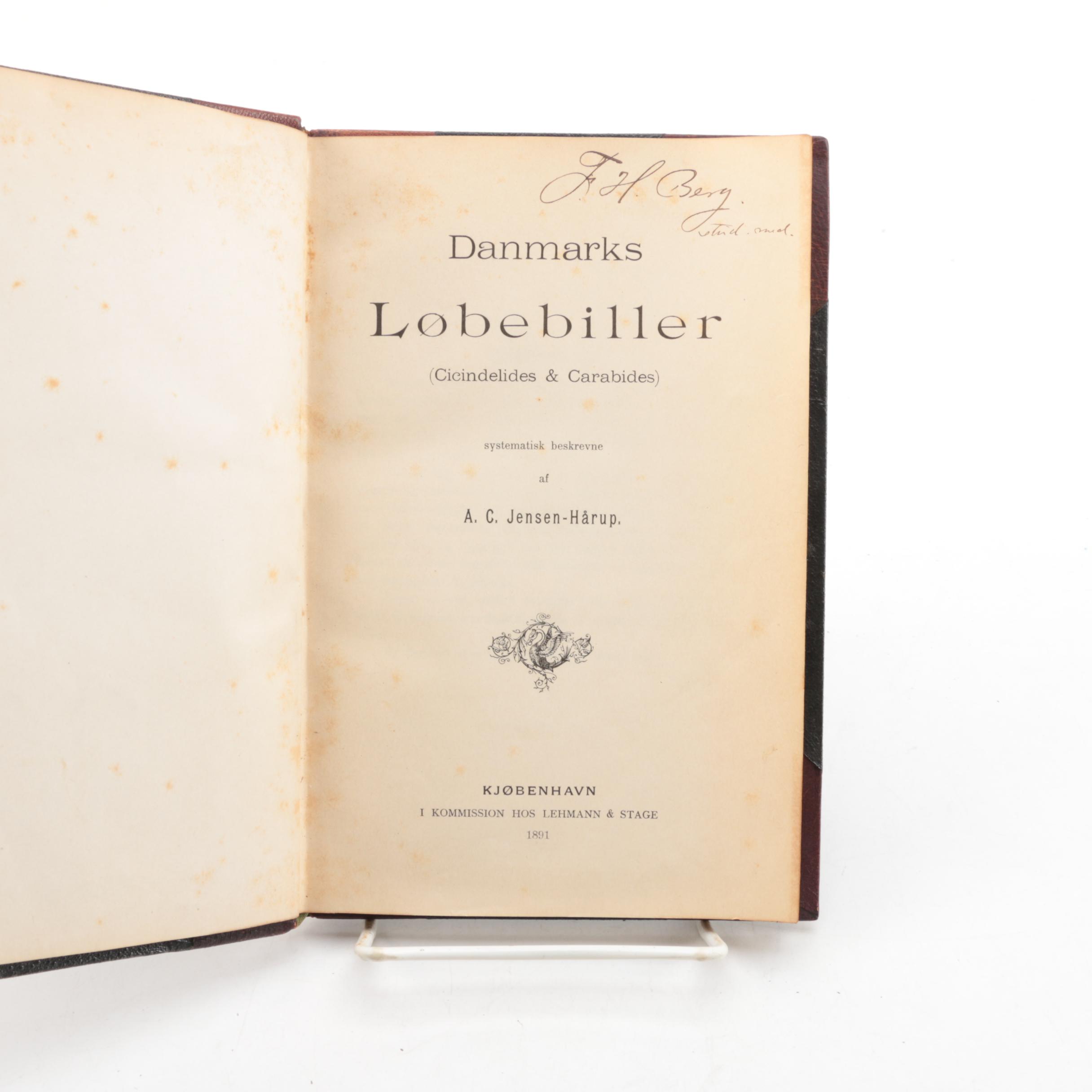 Antique Danish Texts and Assorted Books