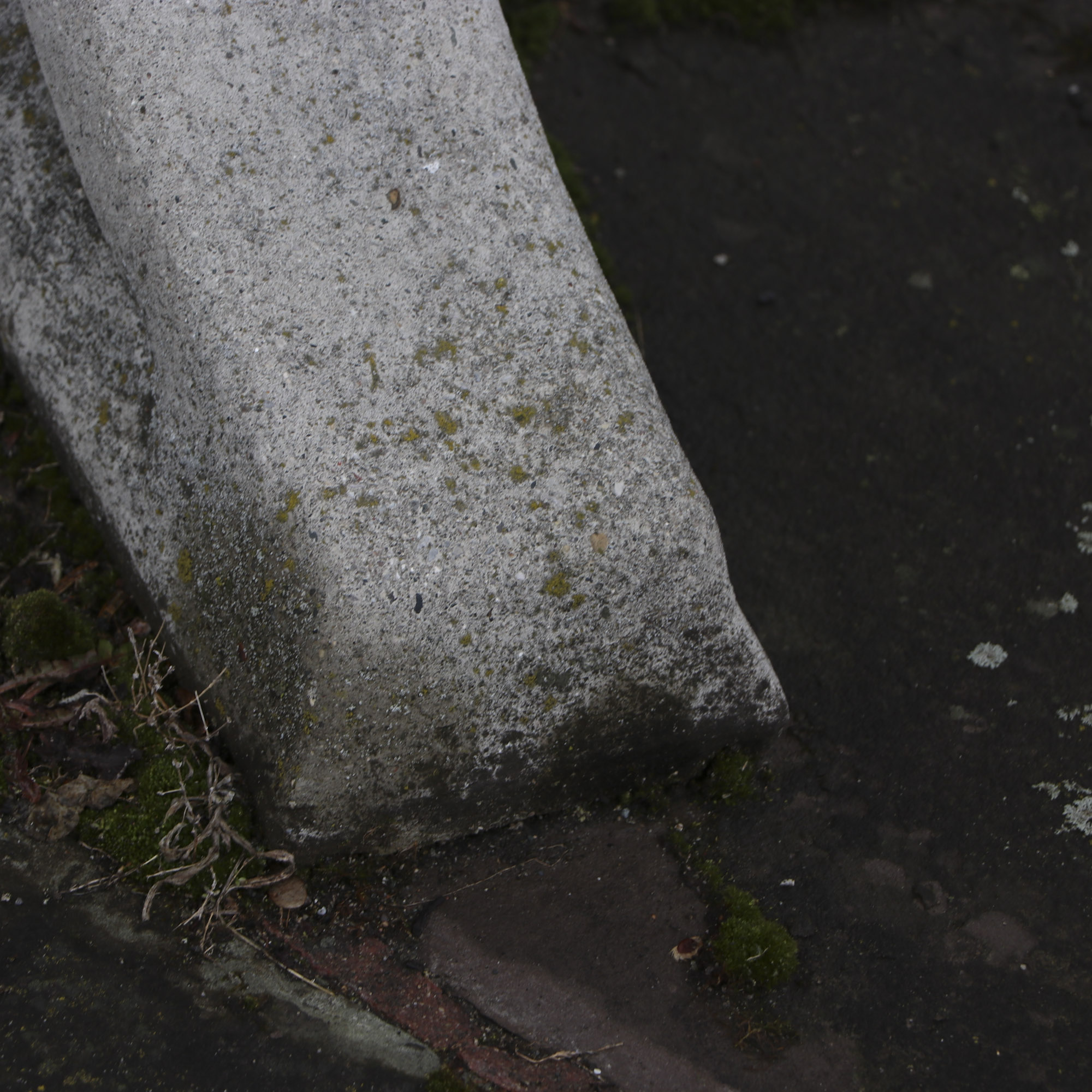 Cement Table and Benches