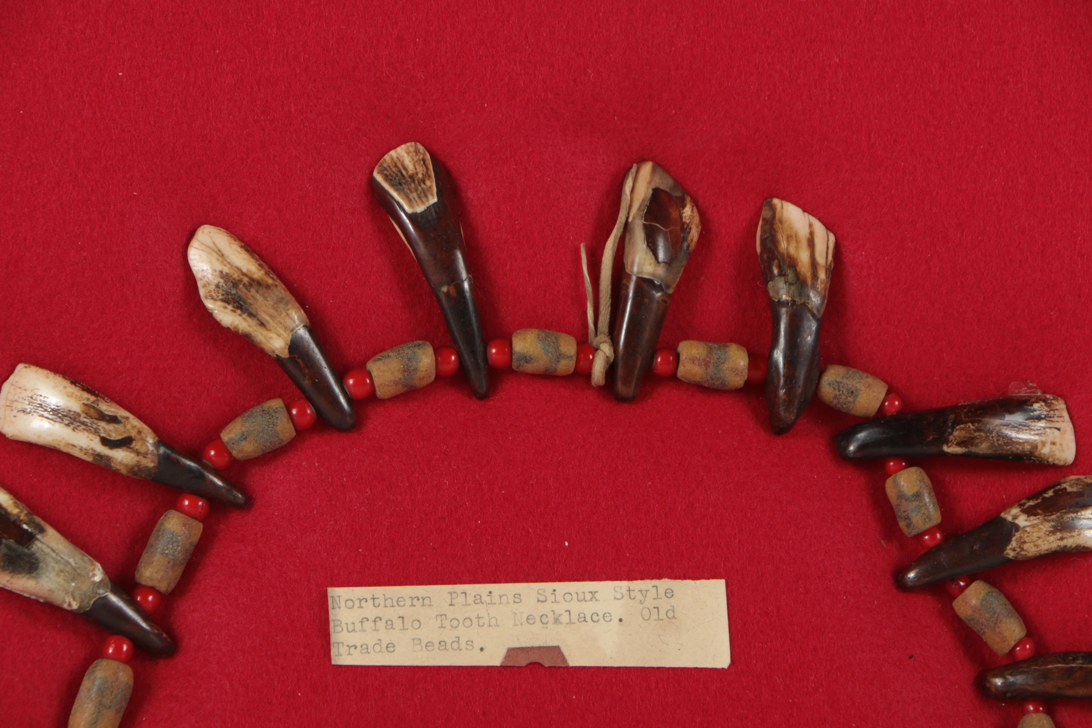 Northern Plains Style Buffalo Tooth Necklace