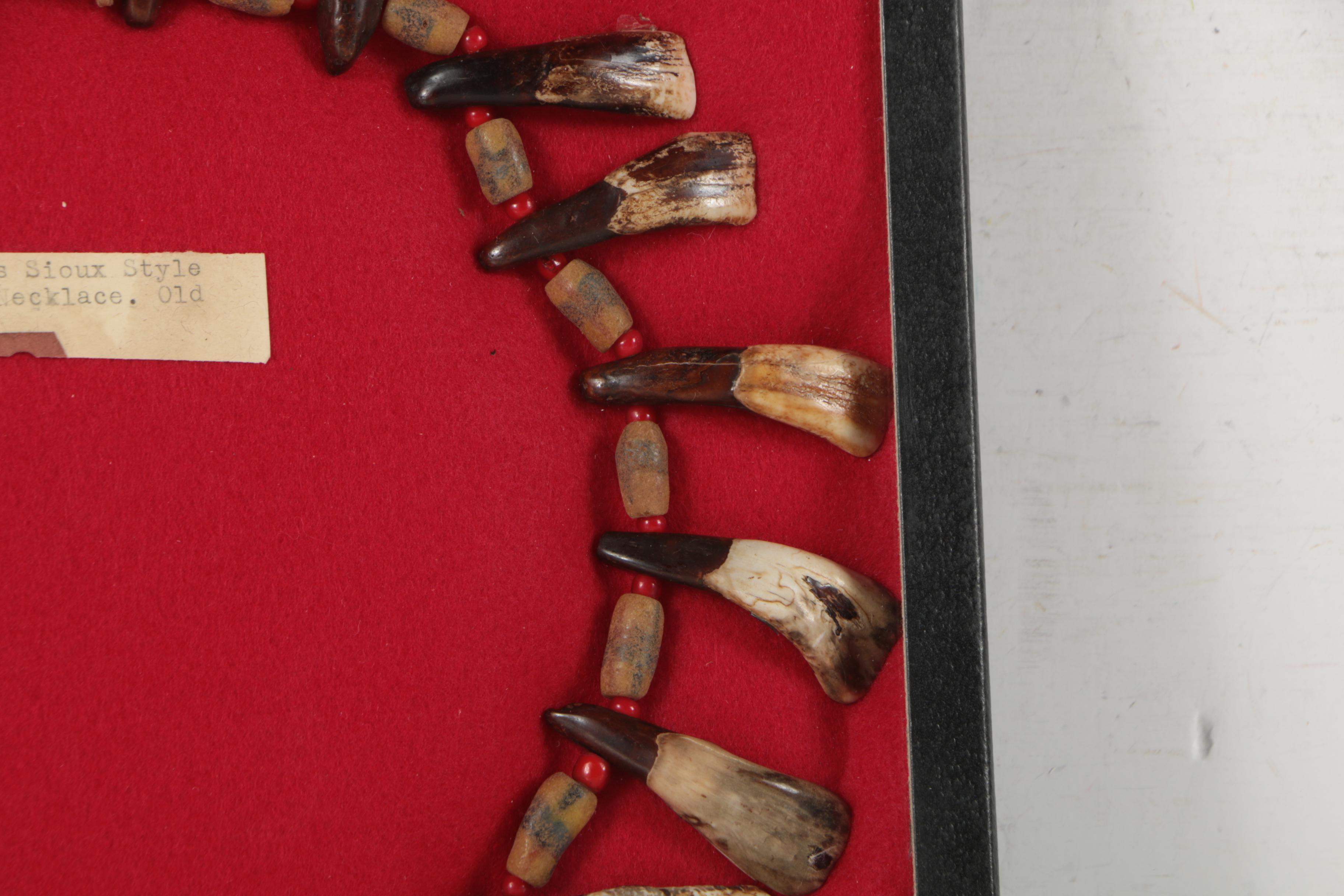 Northern Plains Style Buffalo Tooth Necklace