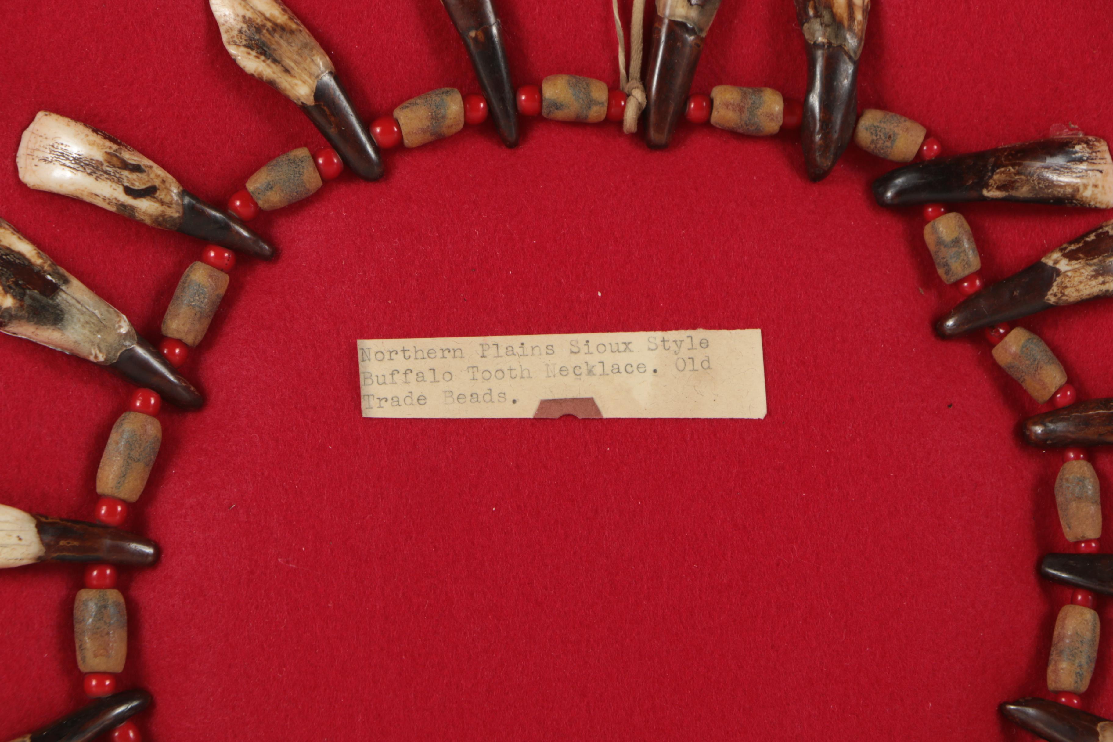 Northern Plains Style Buffalo Tooth Necklace