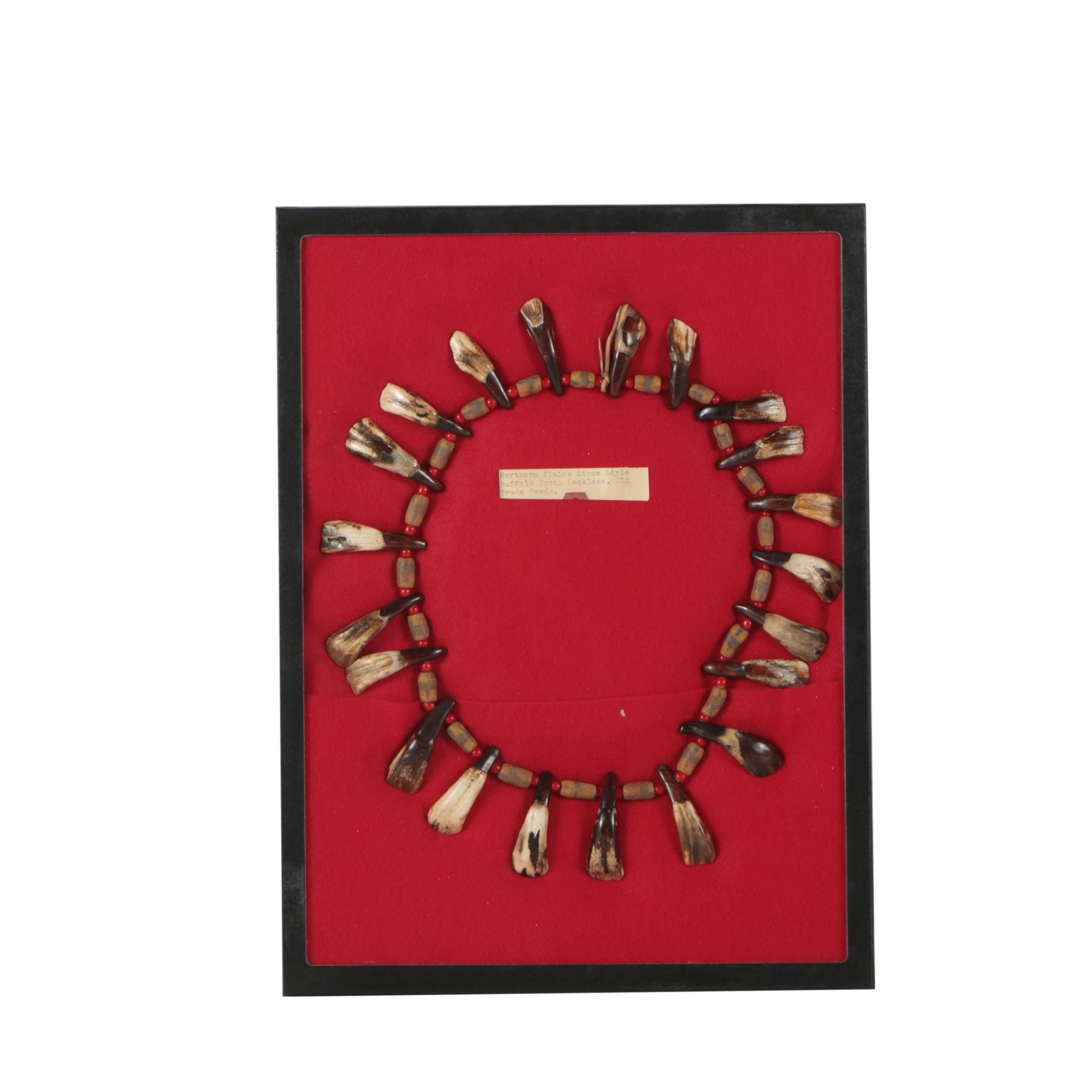 Northern Plains Style Buffalo Tooth Necklace
