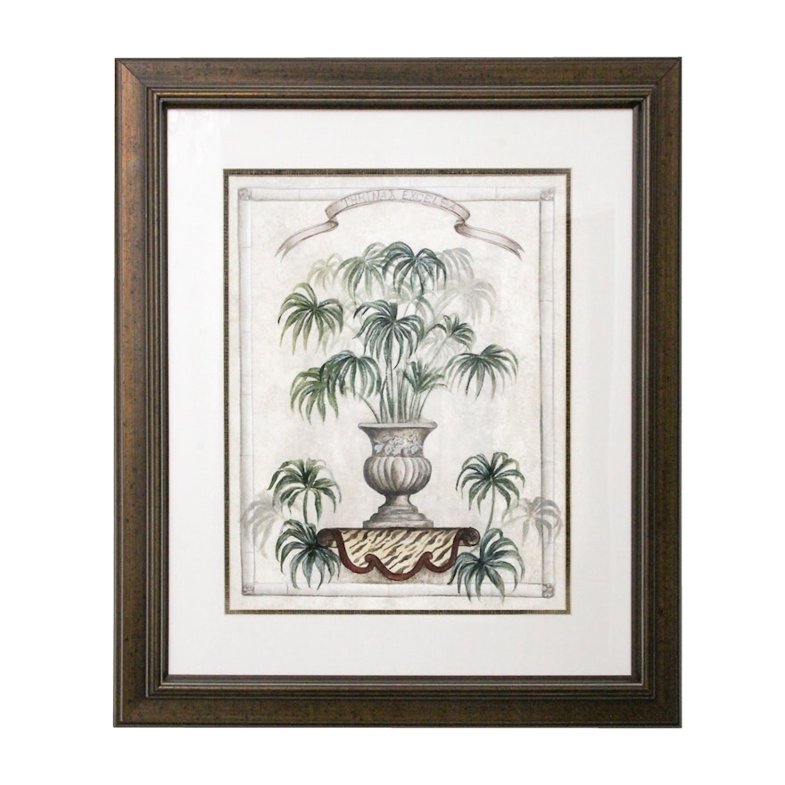 Offset Lithographic Print "Thrinax Excelsa"