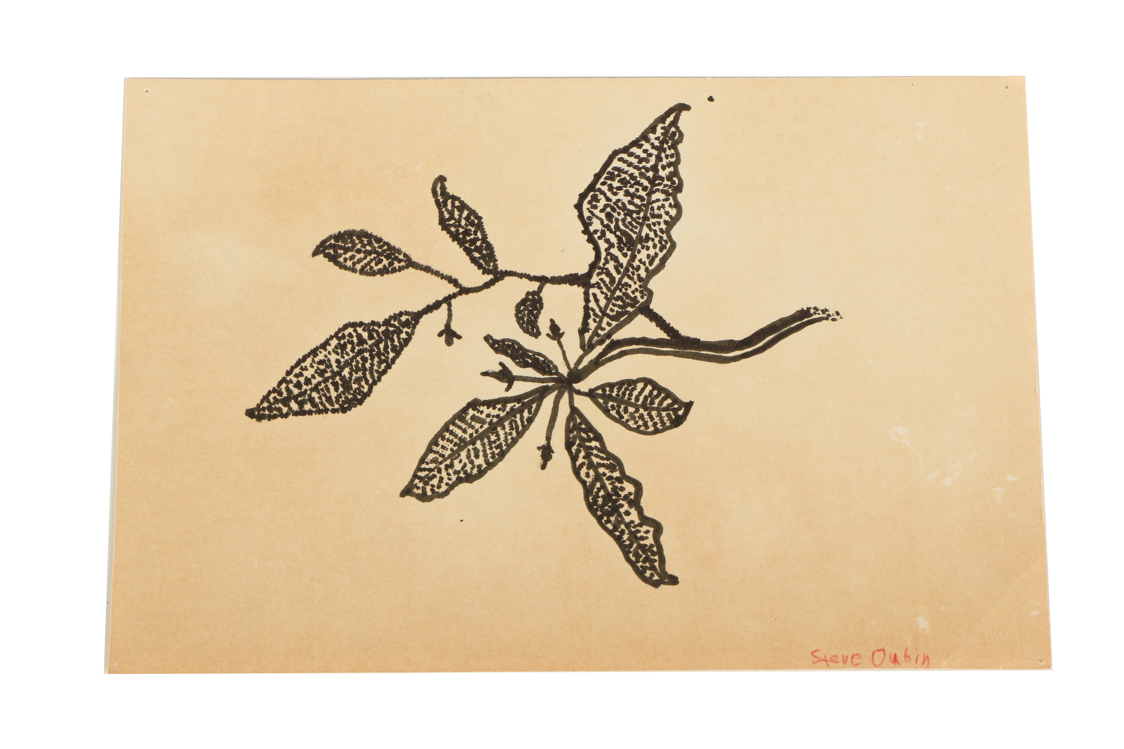 Steve, Carl, and Marc Dubin Mixed Media Works