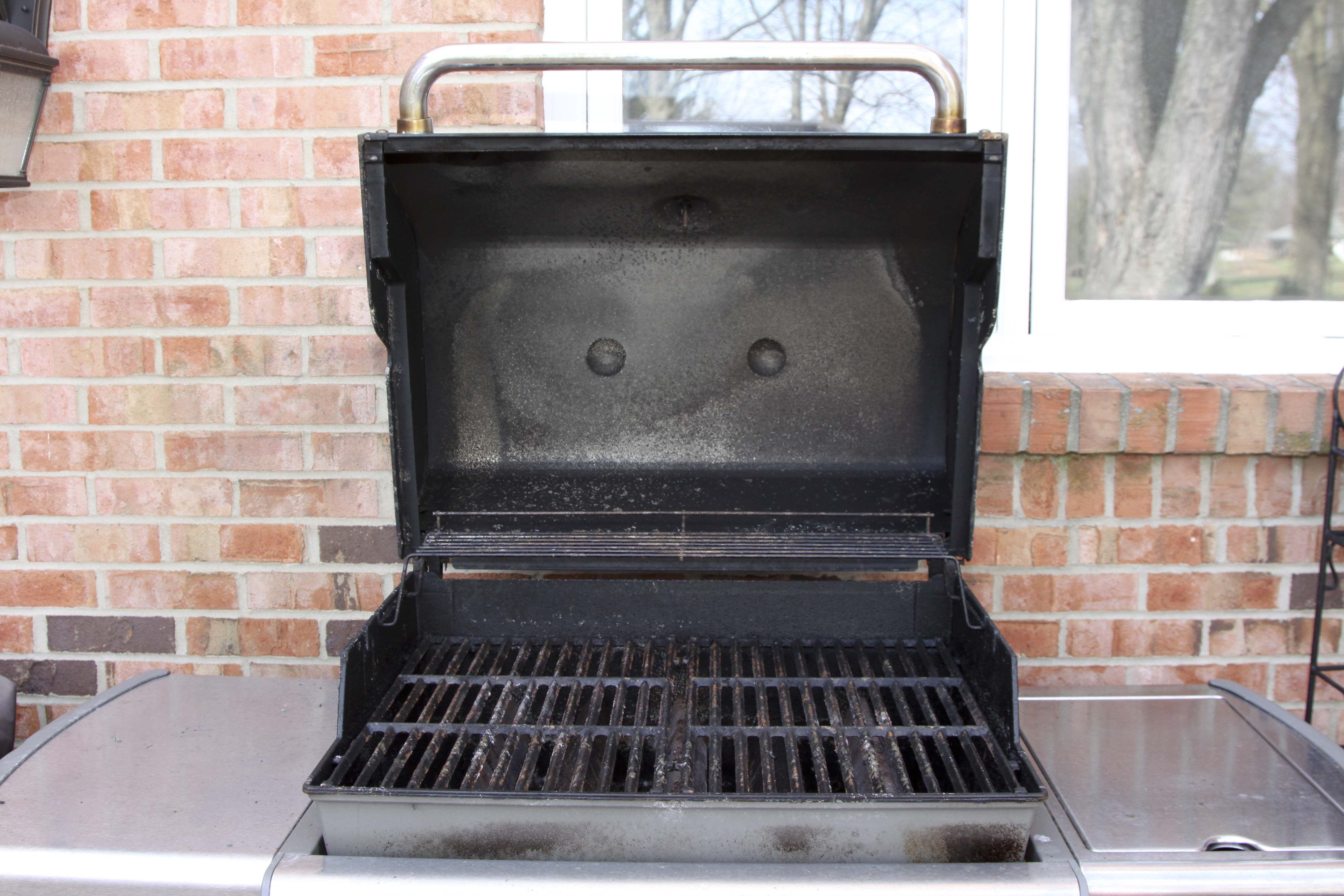 Weber Grill