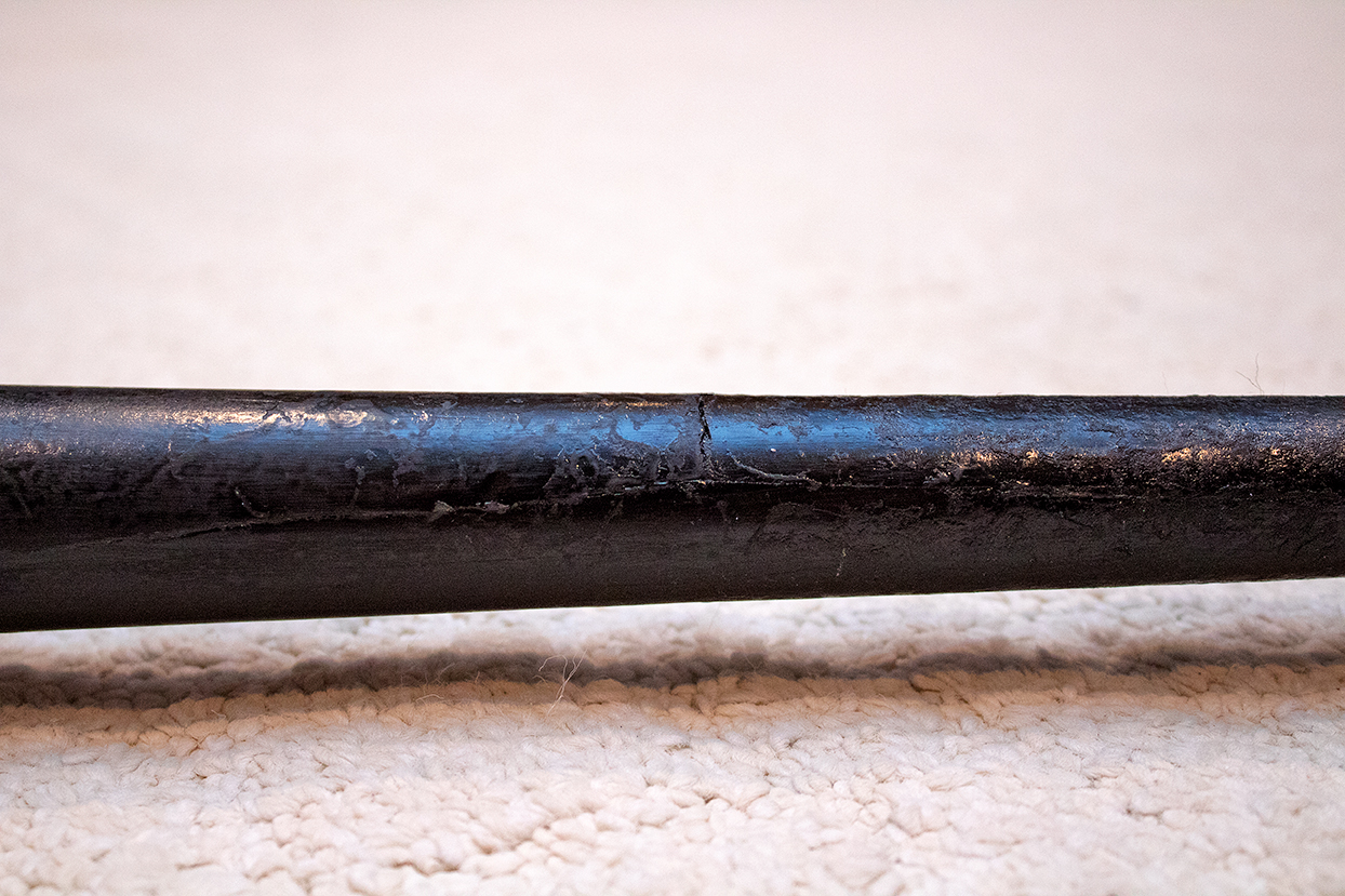 Sean Casey Rookie Card, Autographed Baseball Bat and Looney Tunes Serigraph