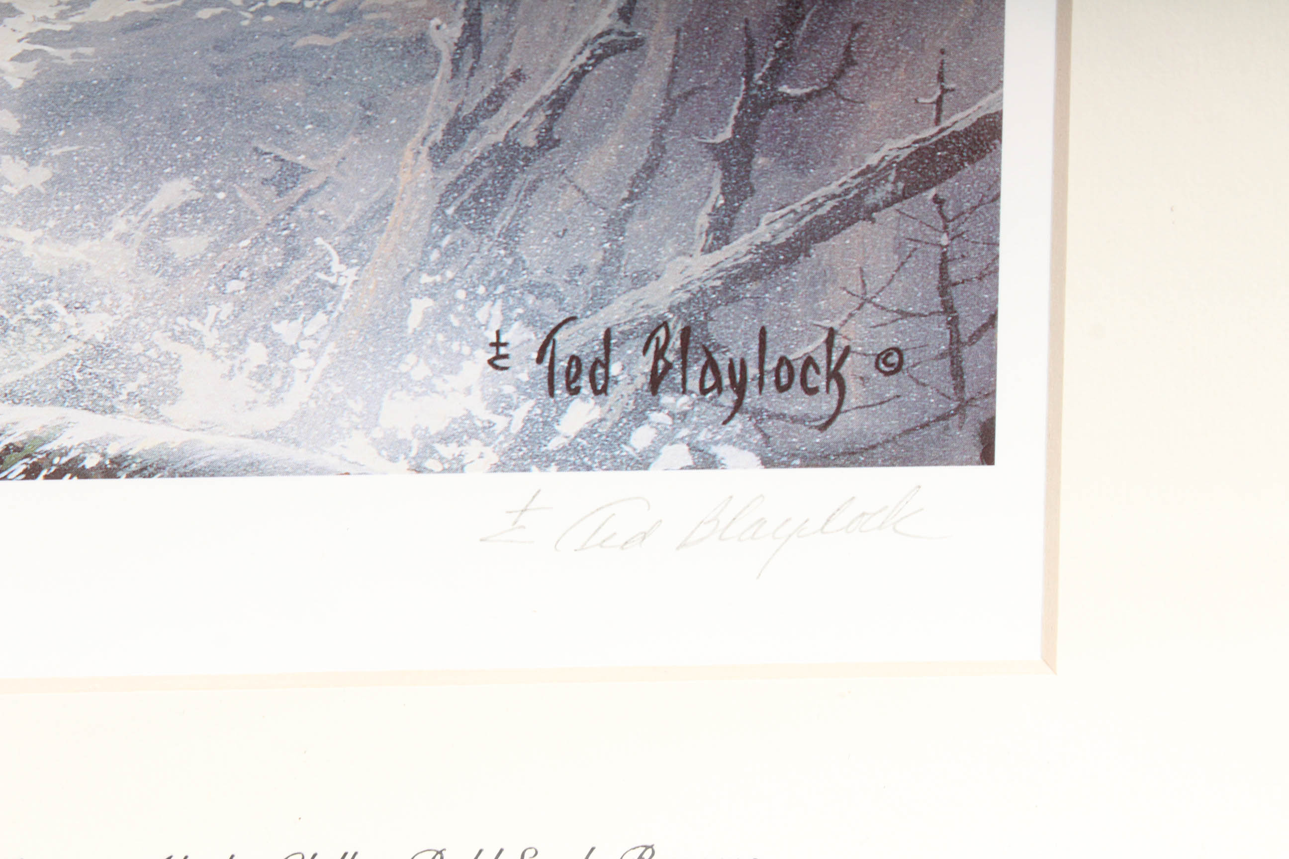 Ted Blaylock Signed Prints