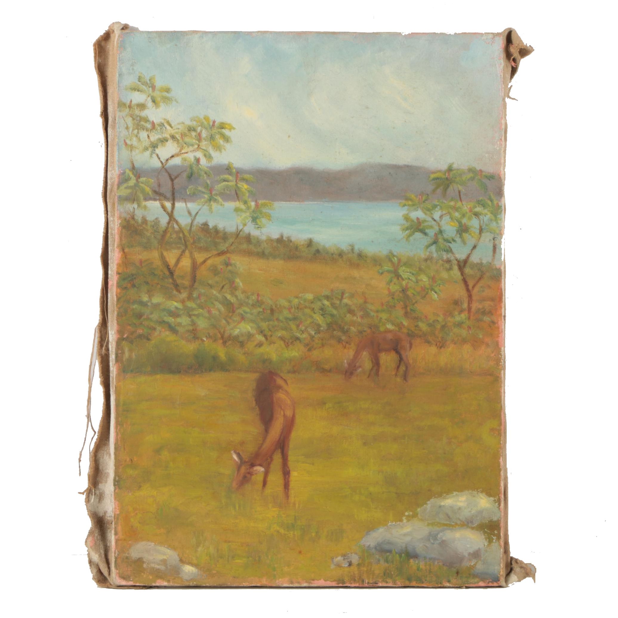 Oil Painting of Deer