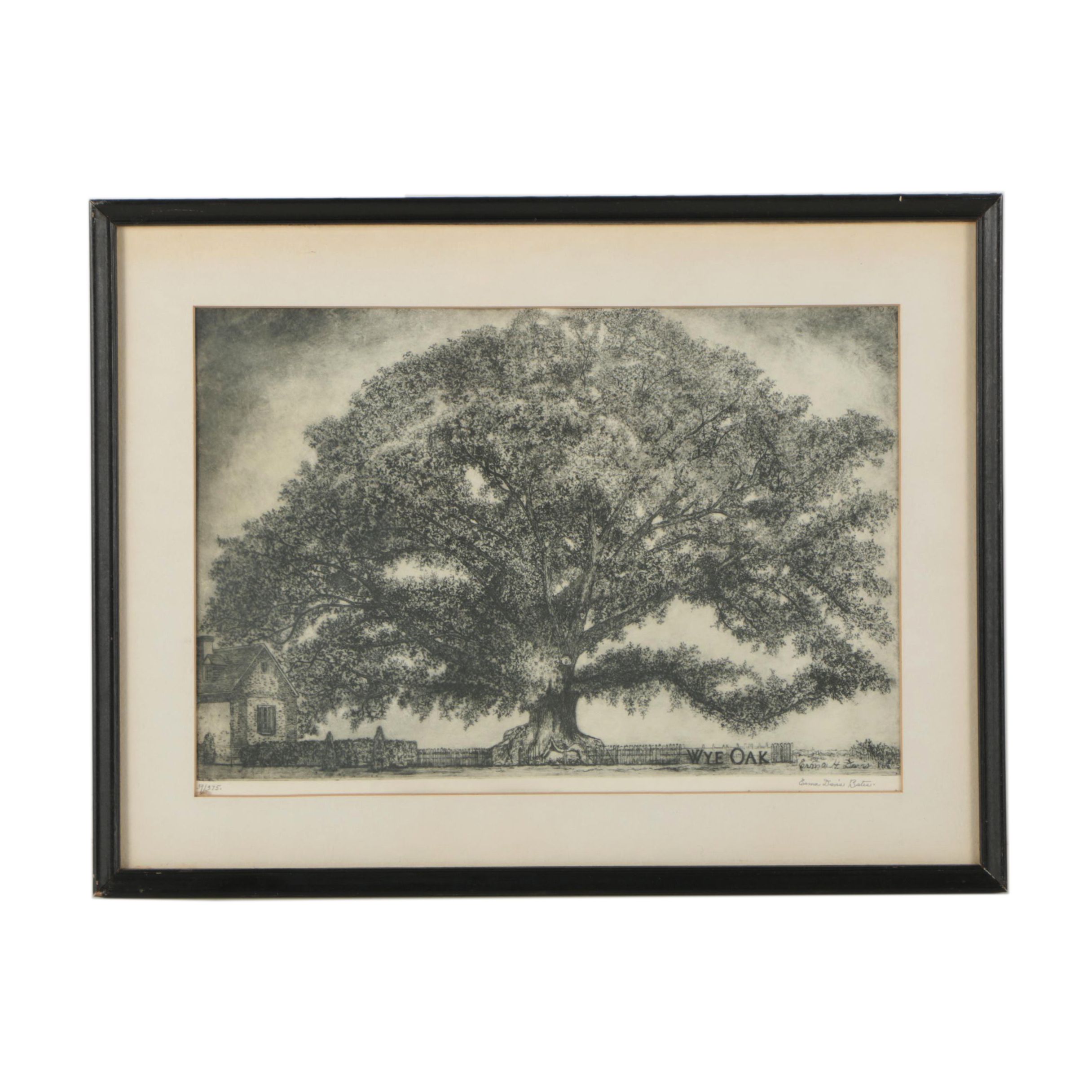 Erma Davis Bates Drypoint Etching "Wye Oak"