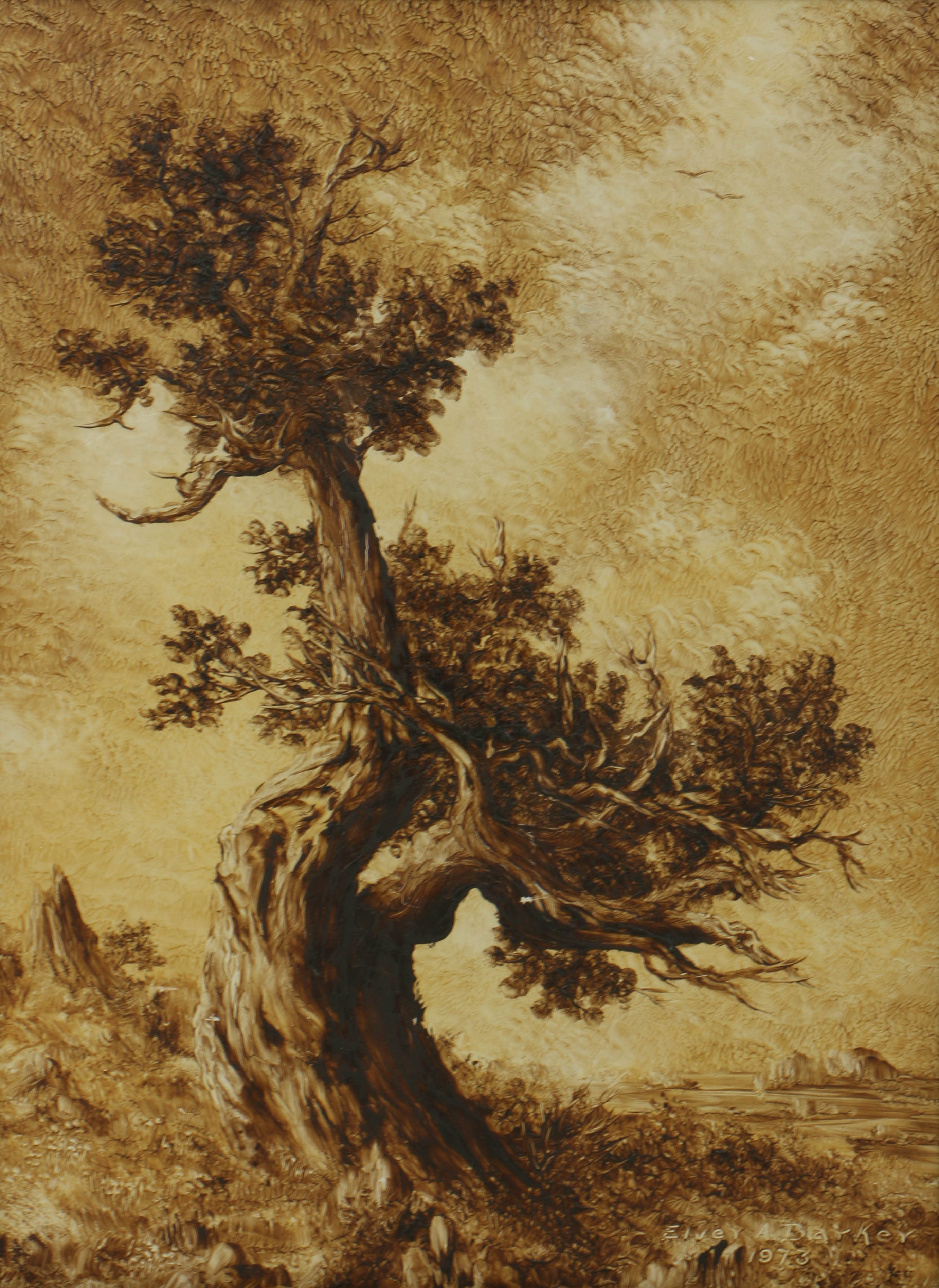 Elver Barker 1973 Transparent Oil on Board "Gnarled Cedar"