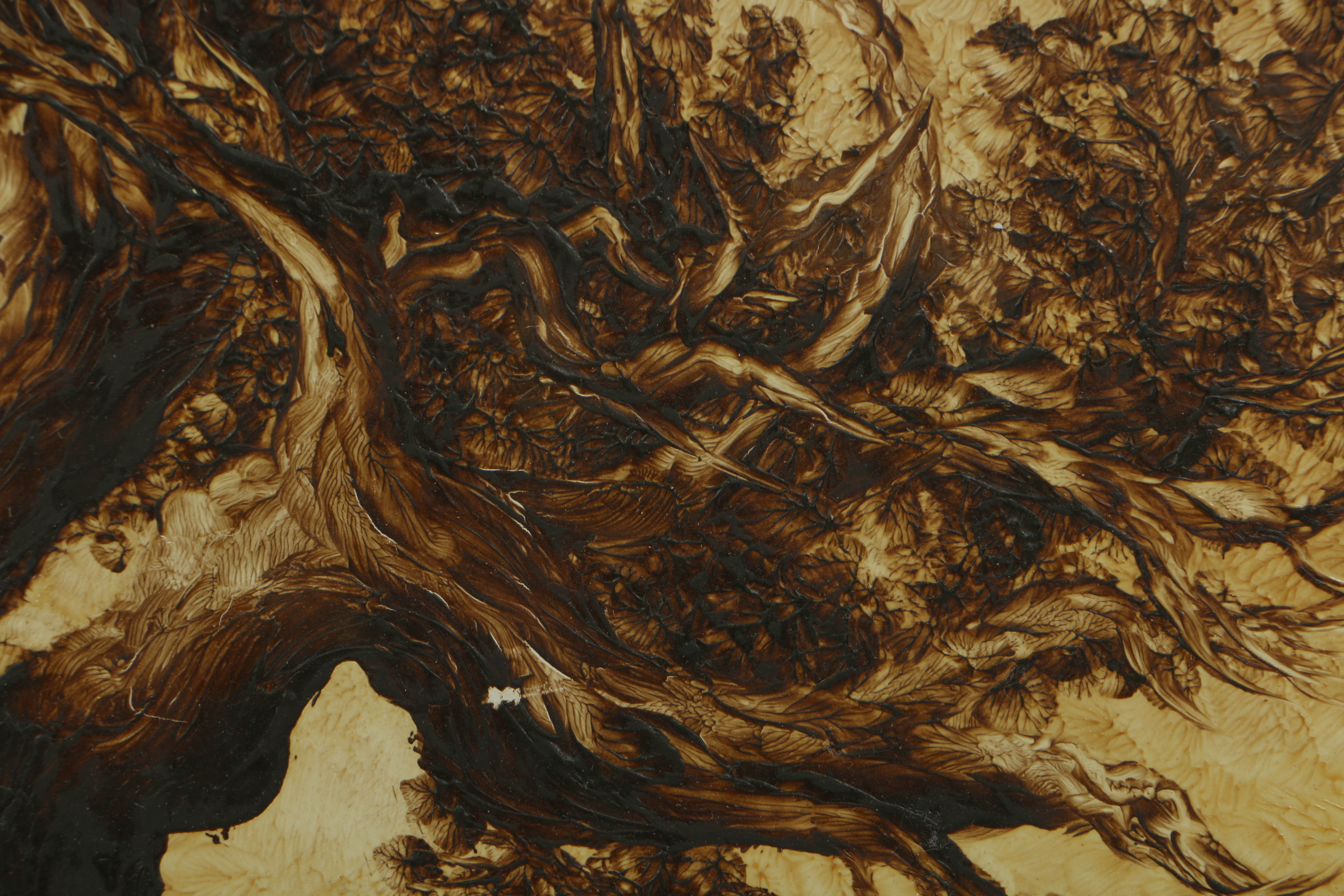 Elver Barker 1973 Transparent Oil on Board "Gnarled Cedar"