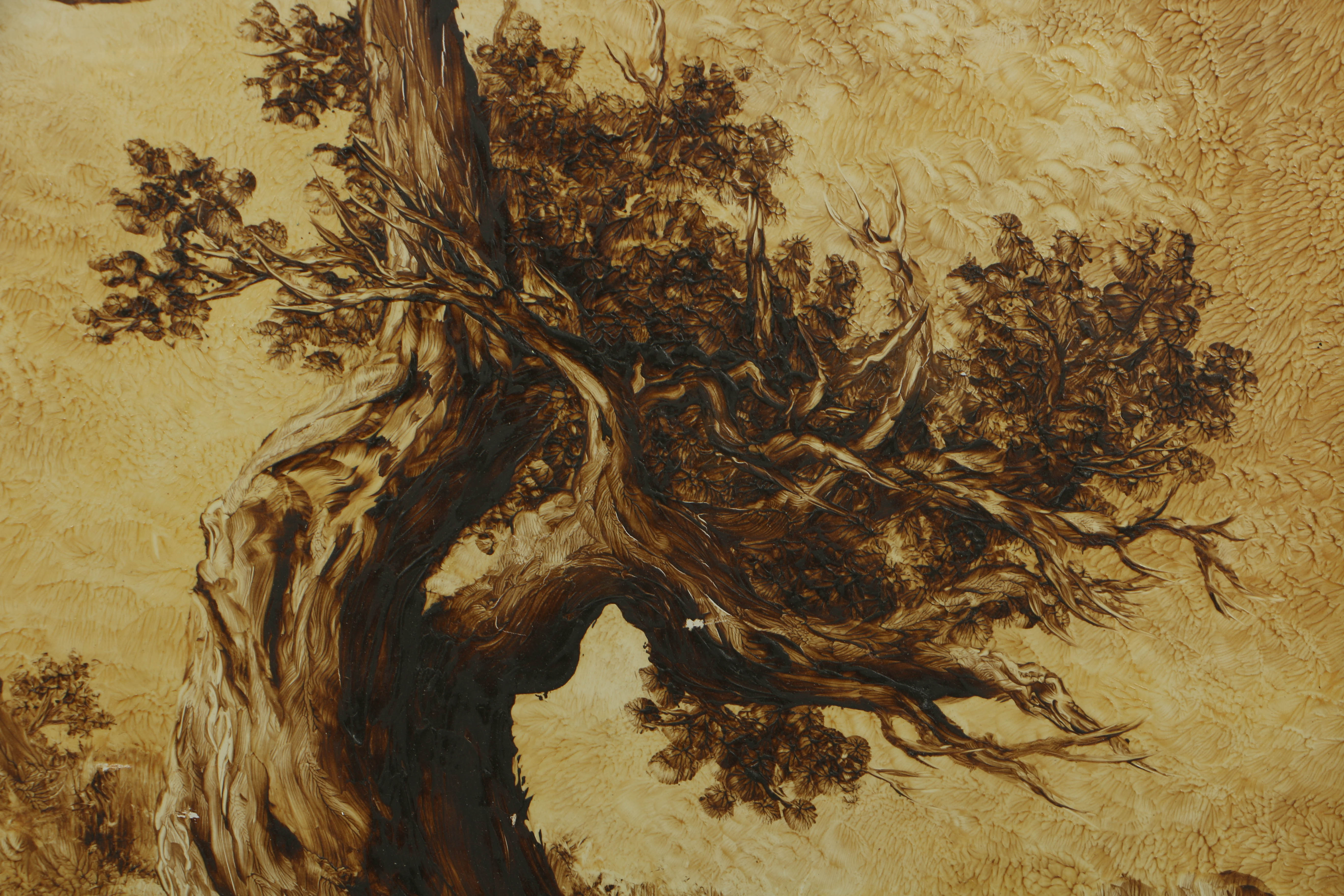 Elver Barker 1973 Transparent Oil on Board "Gnarled Cedar"