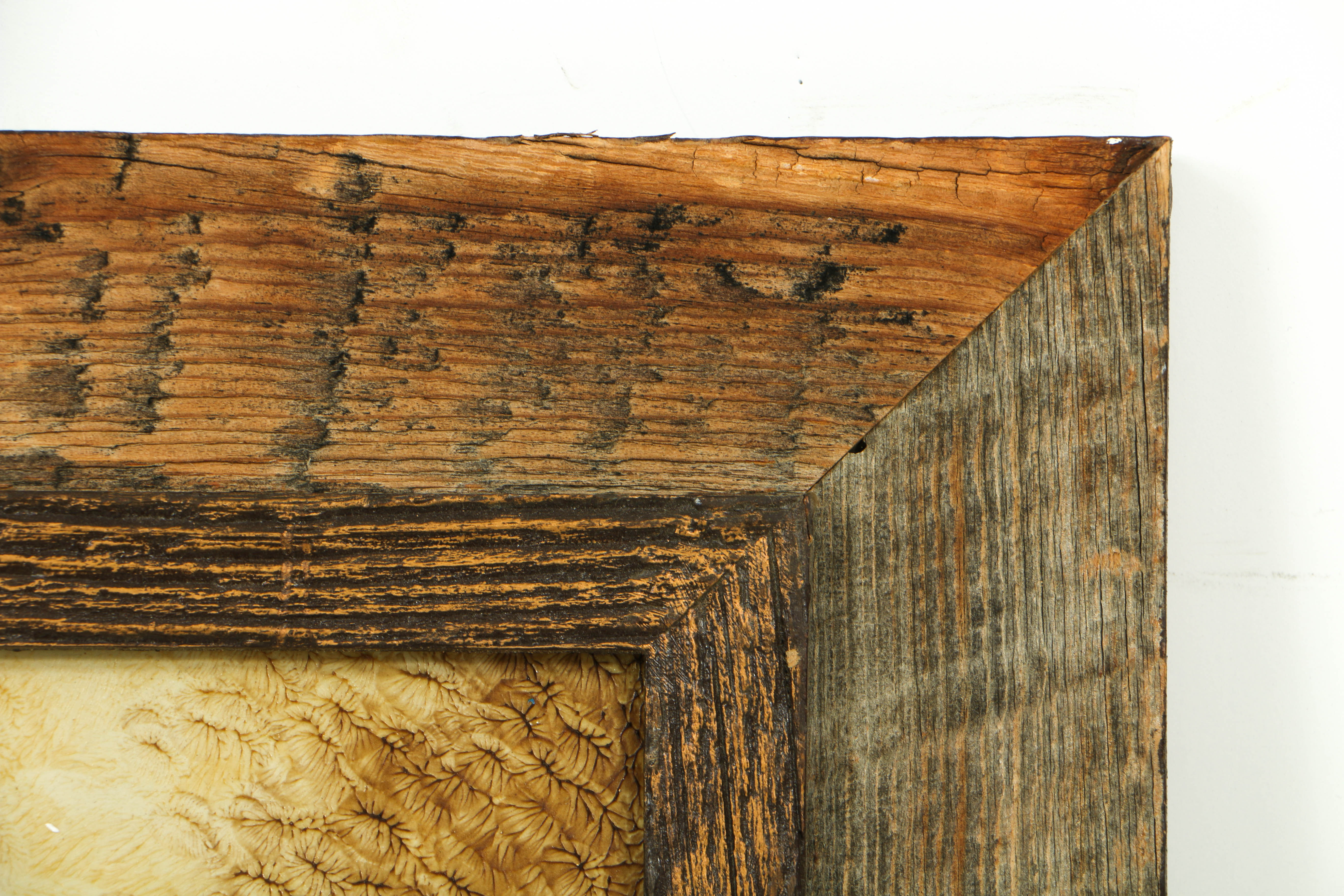 Elver Barker 1973 Transparent Oil on Board "Gnarled Cedar"