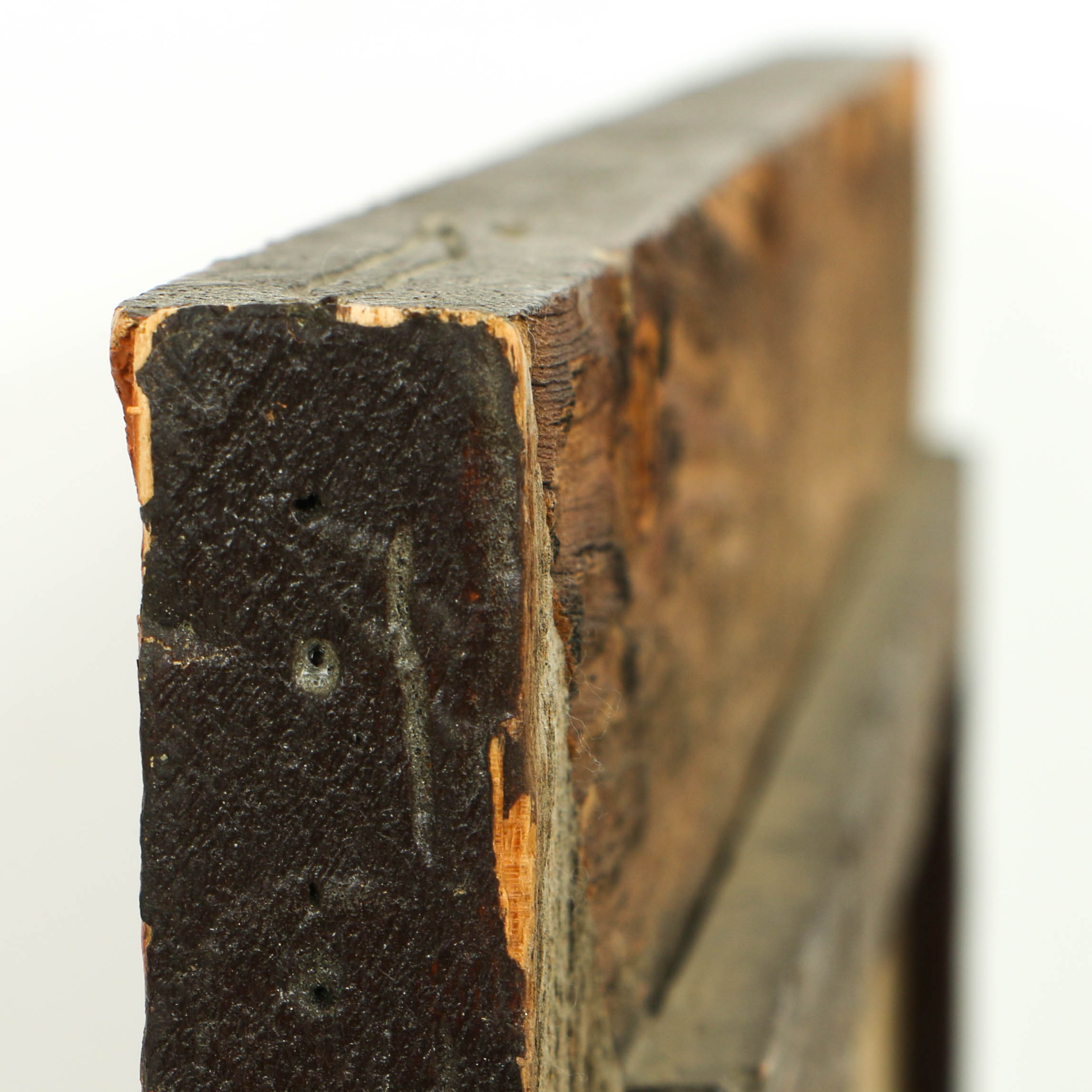 Elver Barker 1973 Transparent Oil on Board "Gnarled Cedar"