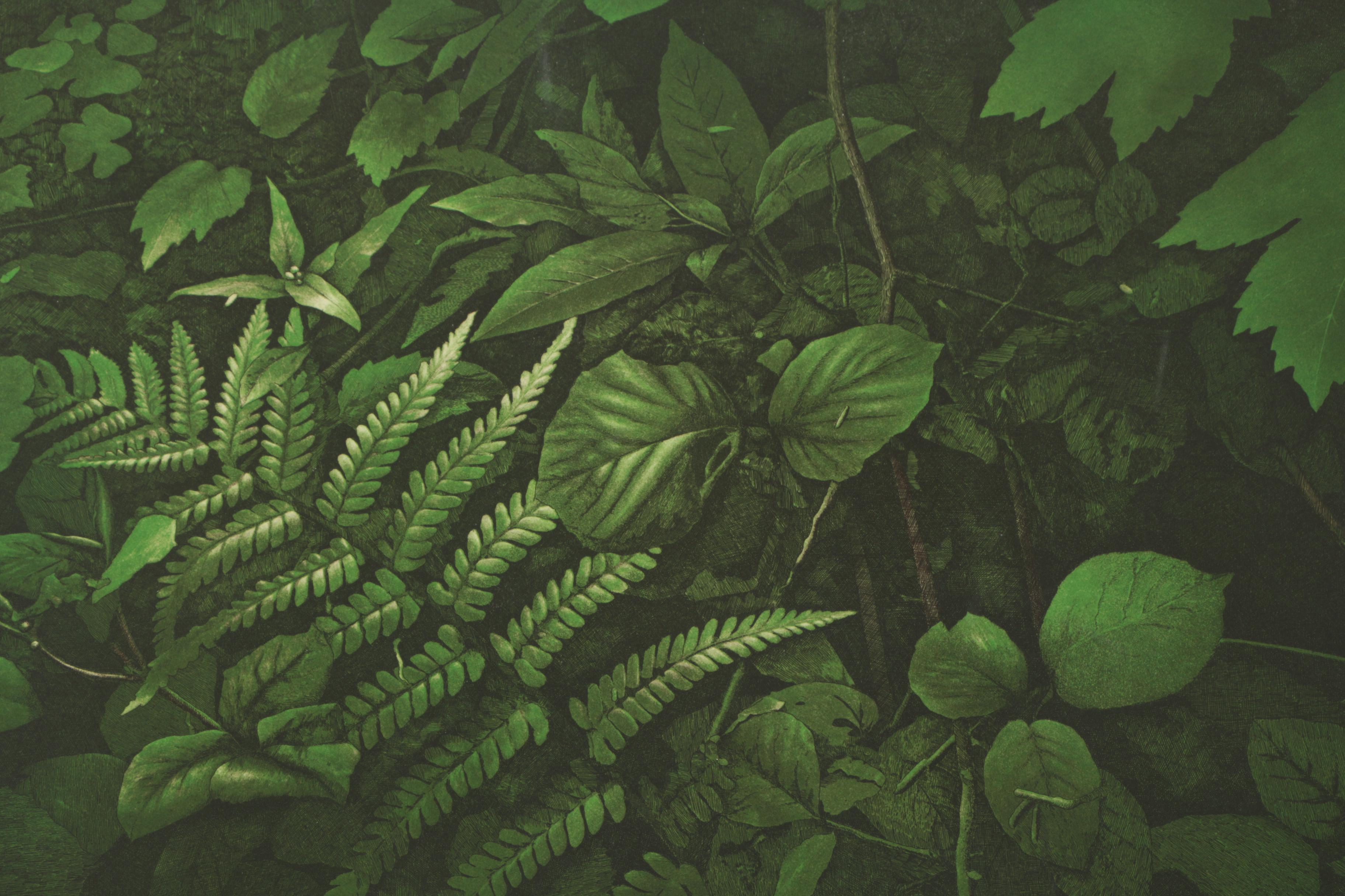 Terence Millington Hand Colored Etching