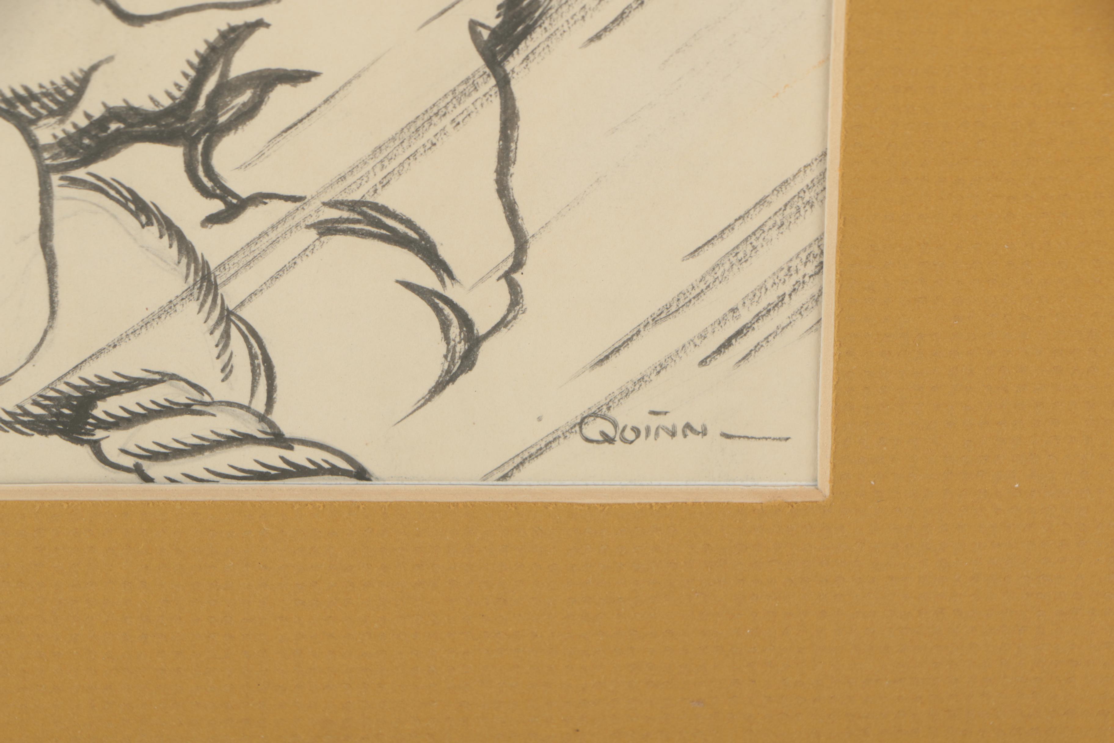 Quinn Charcoal and Ink Drawing