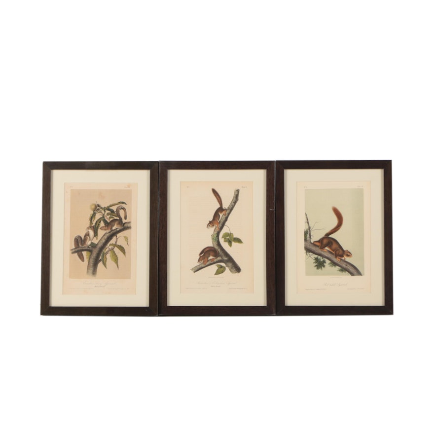 Three Color Lithographs