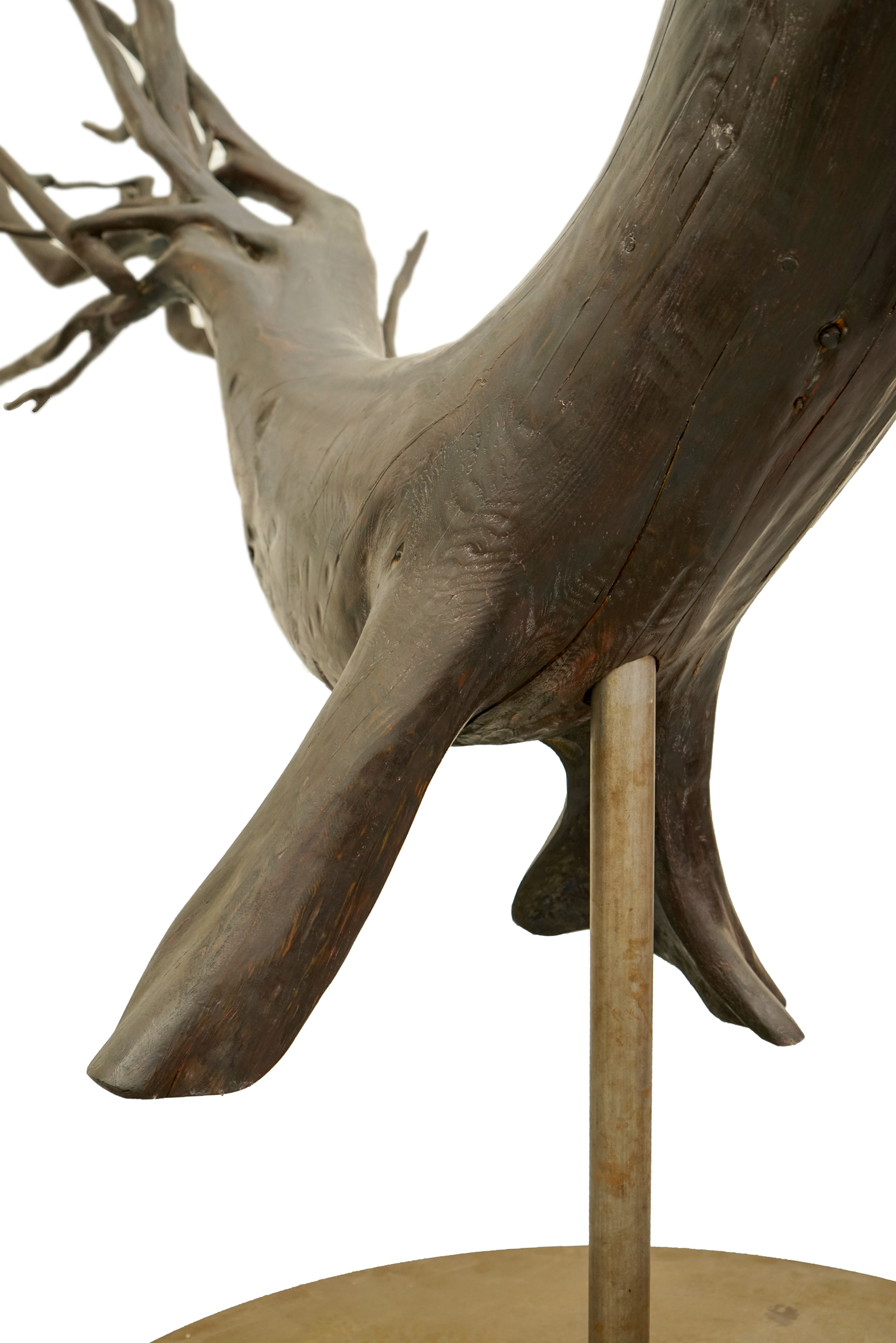 Impressive Carved Hemlock Whale Sculpture by Joseph Wheelwright