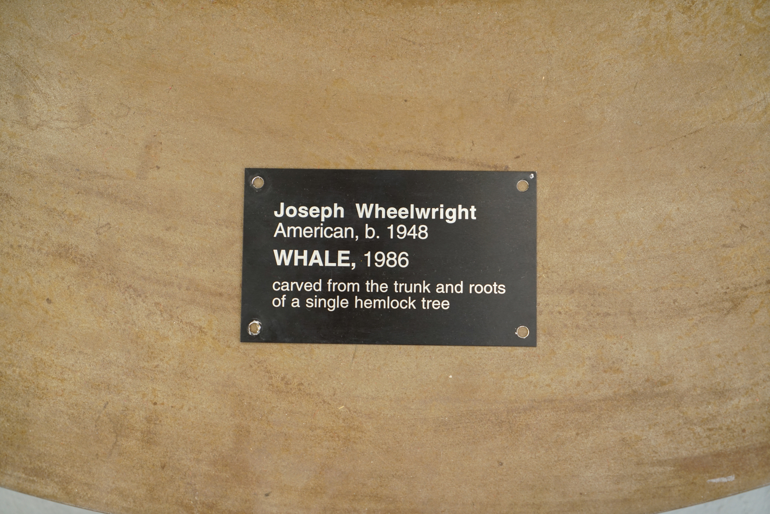 Impressive Carved Hemlock Whale Sculpture by Joseph Wheelwright