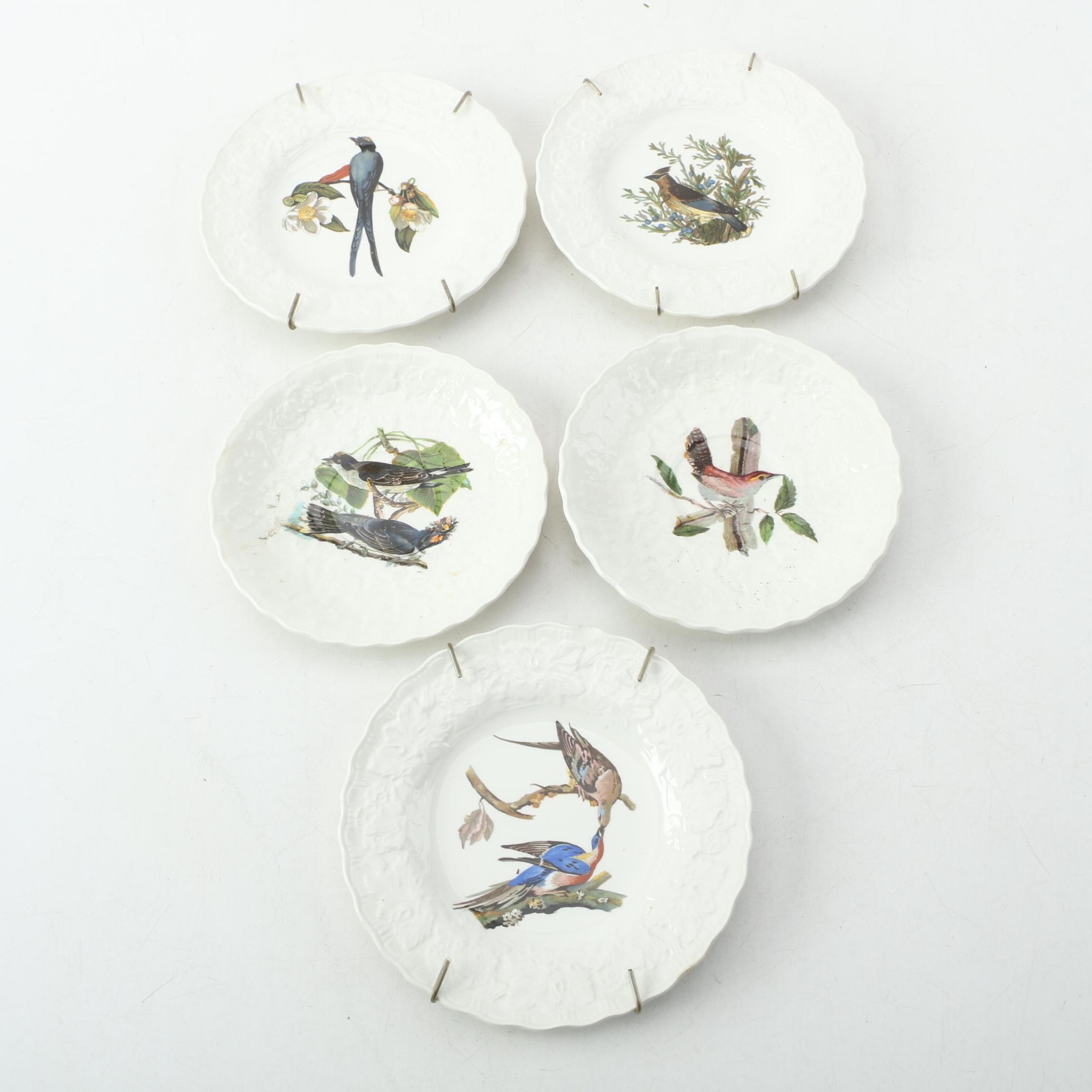 Alfred Meakin "Audubon's Bird of America" Plate Collection