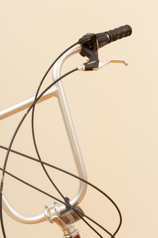 Day 6 "Dream" Semi-Recumbent Bicycle