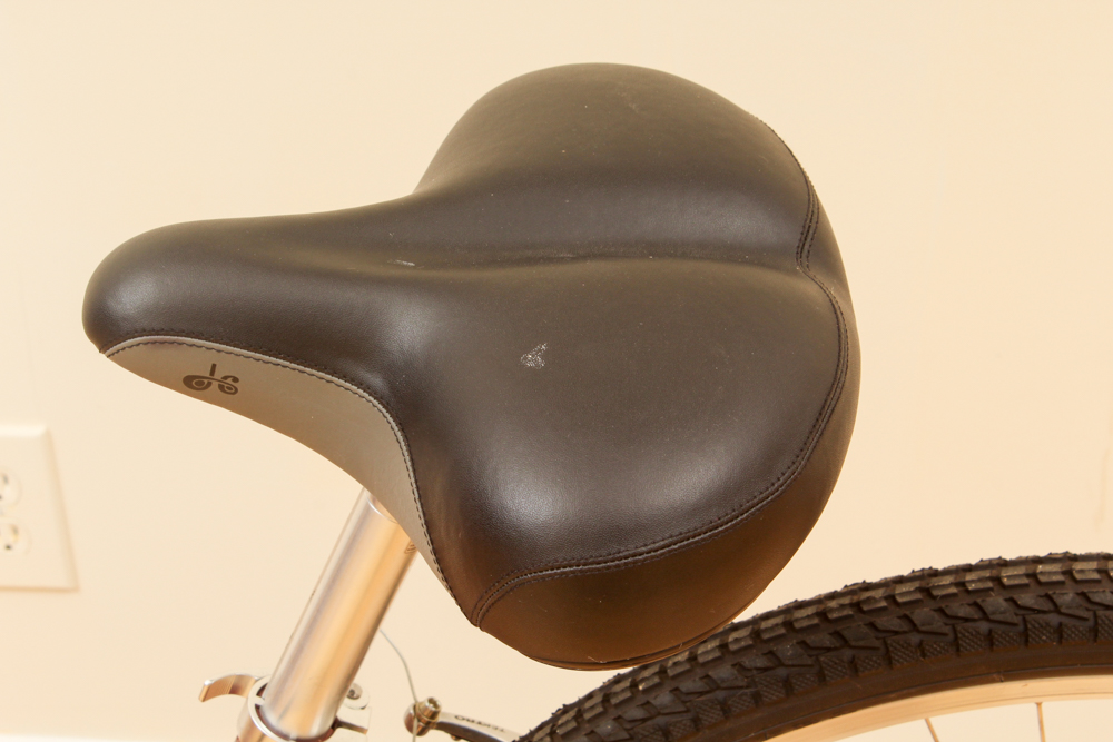 Day 6 "Dream" Semi-Recumbent Bicycle