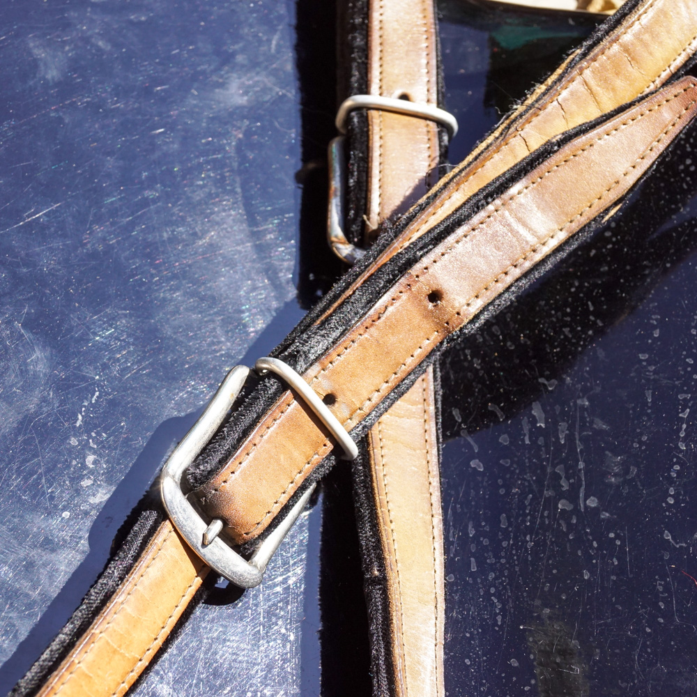 Vintage Recanati V. Soprani Di Silvio Accordion