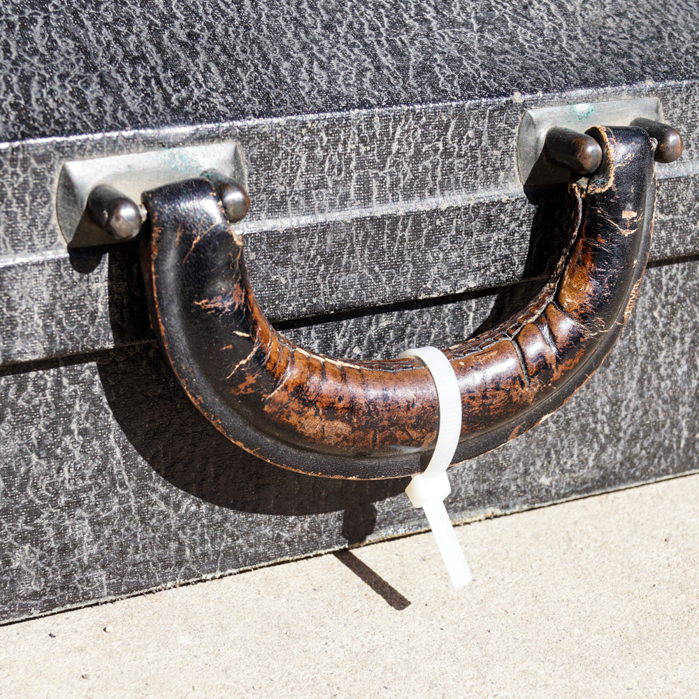 Vintage Recanati V. Soprani Di Silvio Accordion