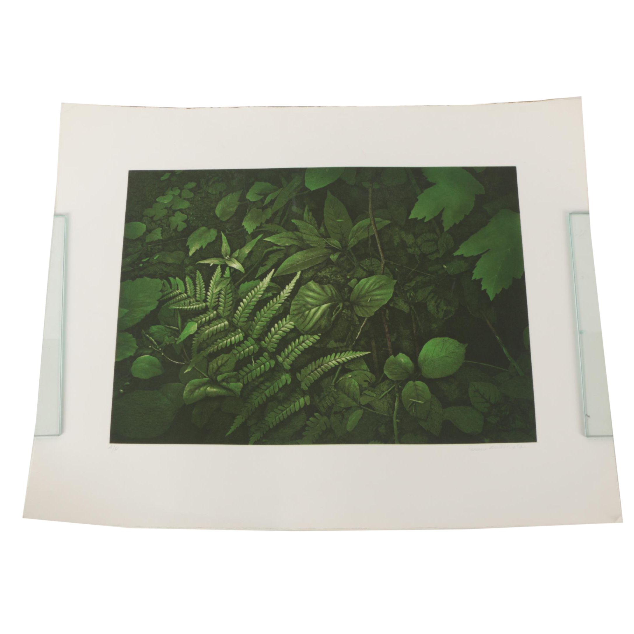 Terence Millington Hand Colored Etching