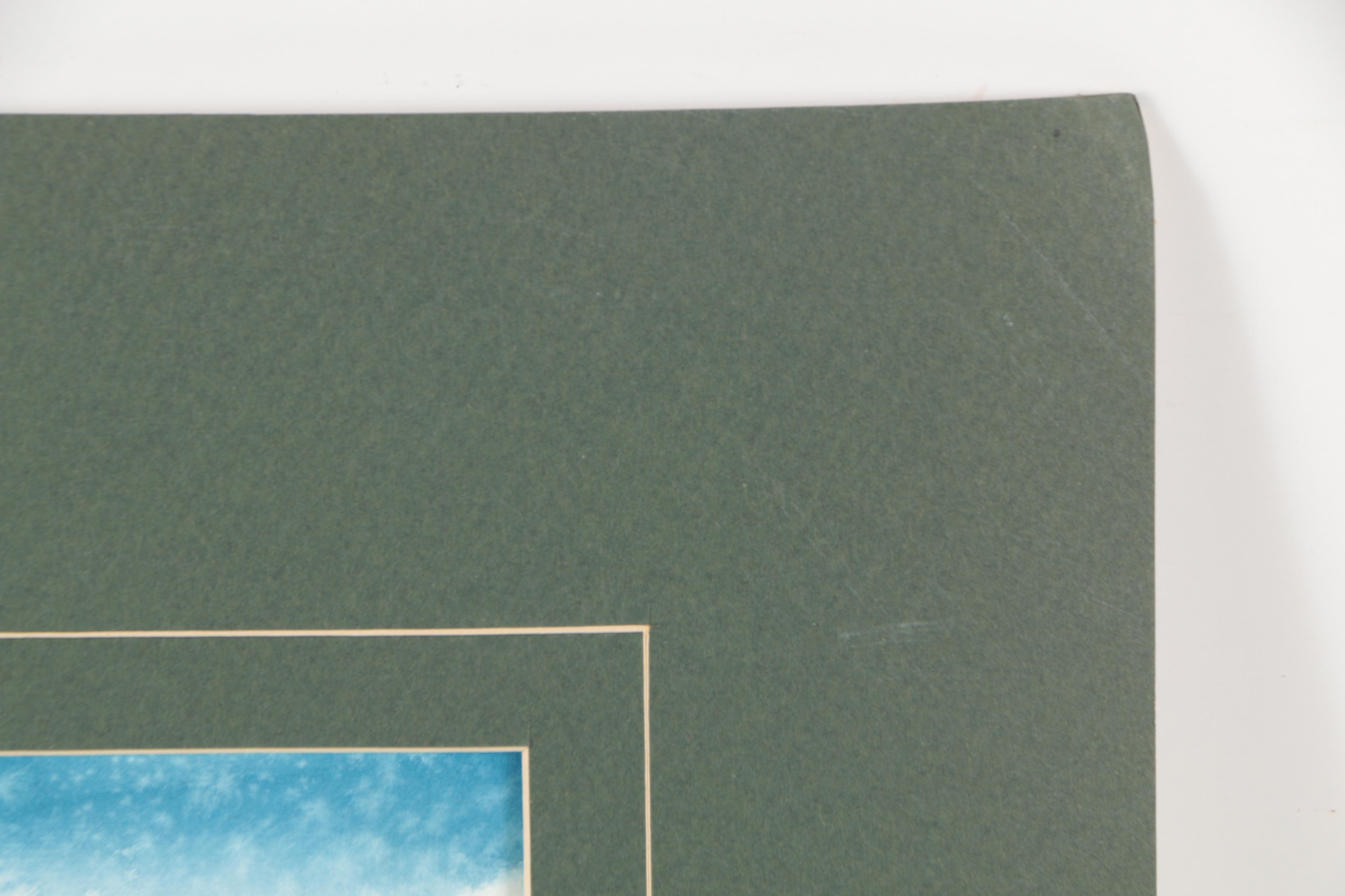 Chinese Watercolor Painting of Koi