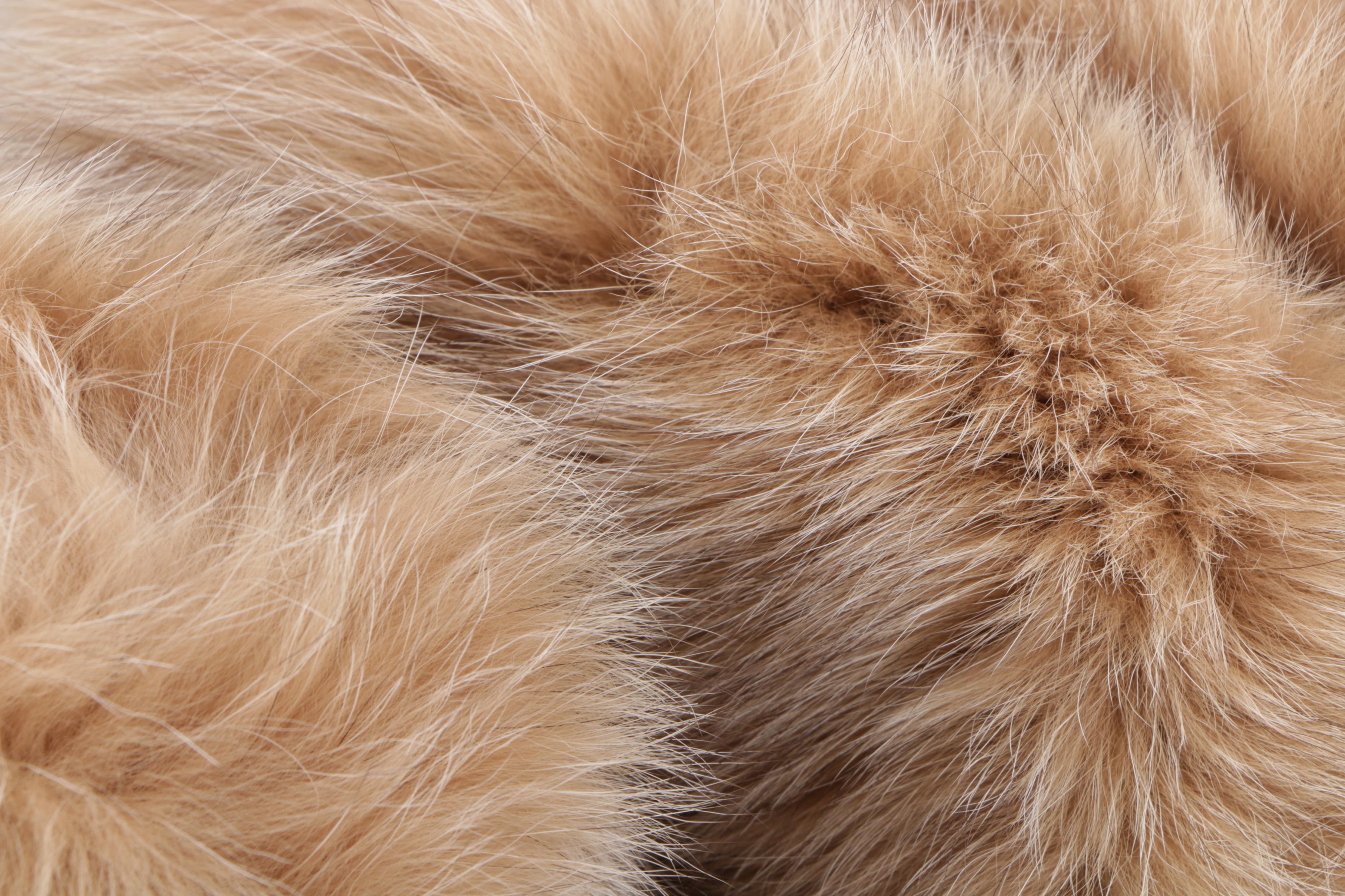Fox Fur Cuffs and Marten Fur Collar