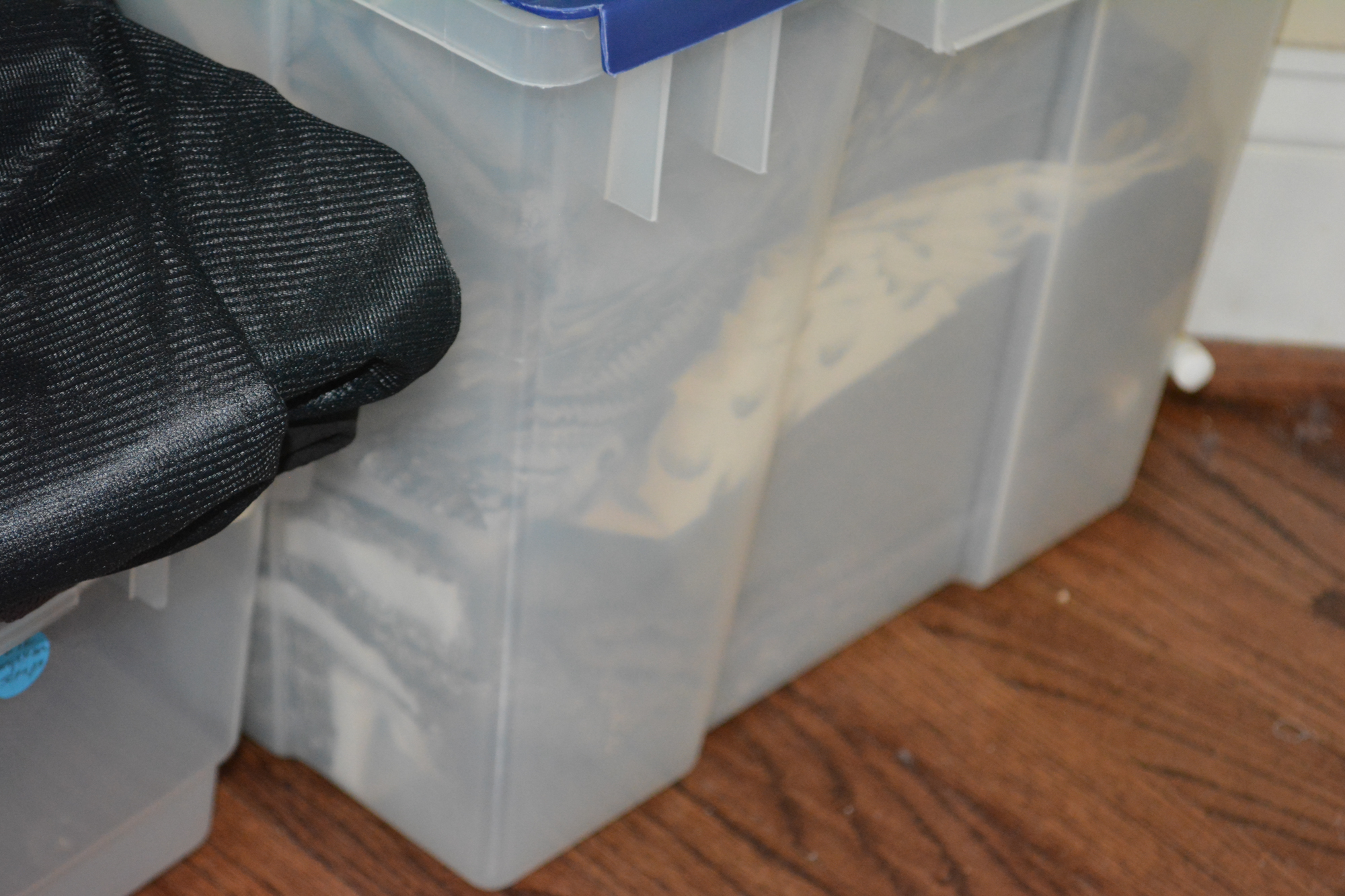 Black and White Fabric Remnants Including Sheer Black