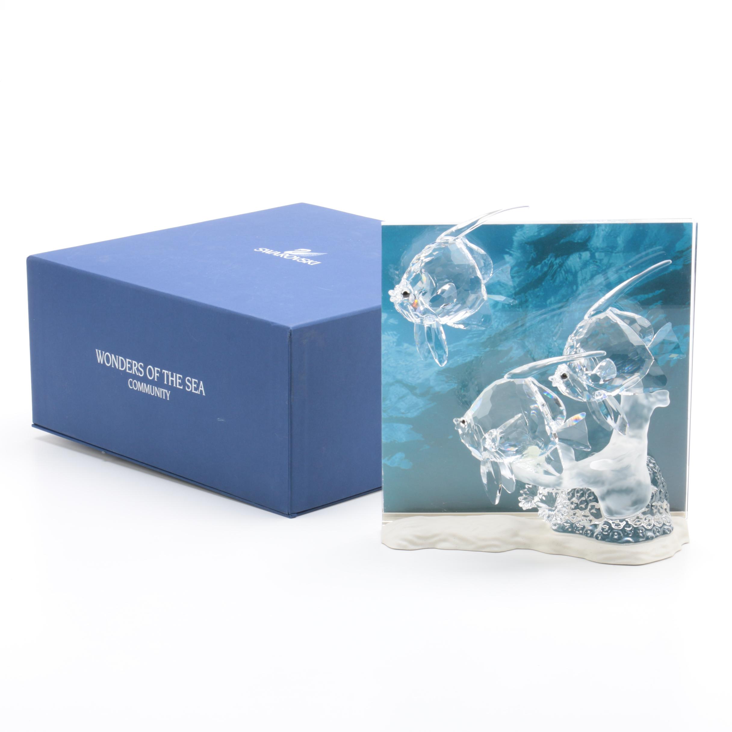 Swarovski Crystal "Wonders of the Sea" Angel Fish