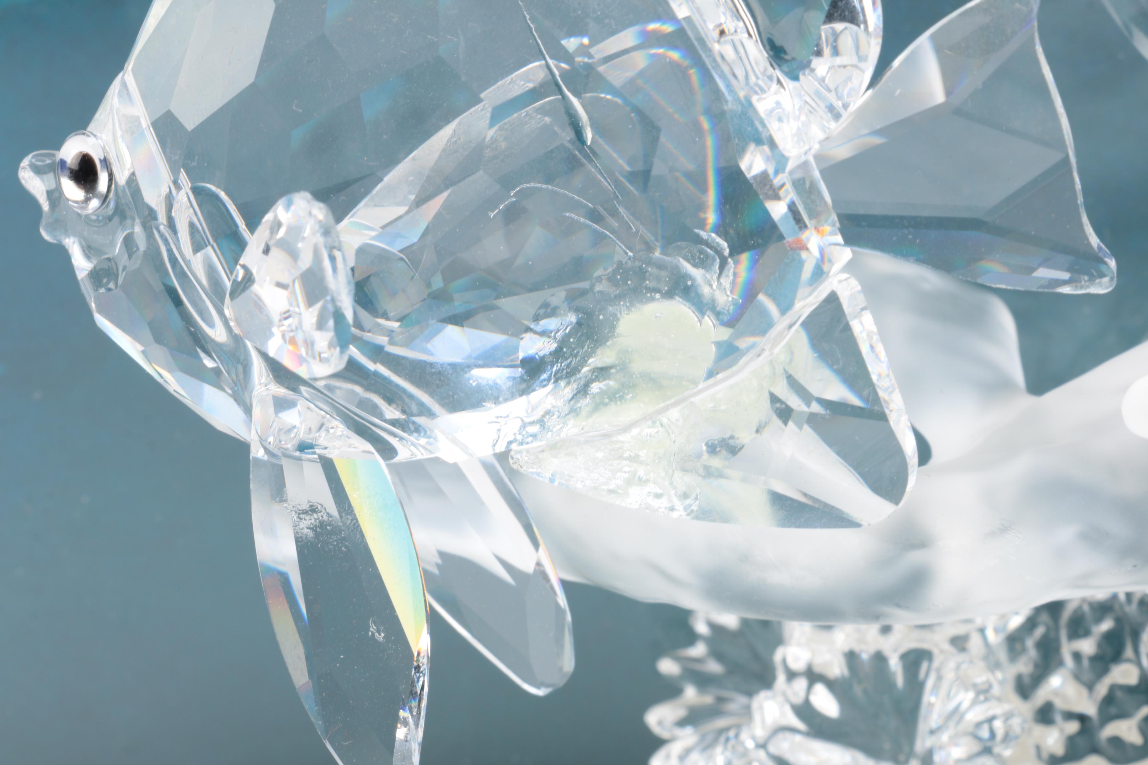 Swarovski Crystal "Wonders of the Sea" Angel Fish