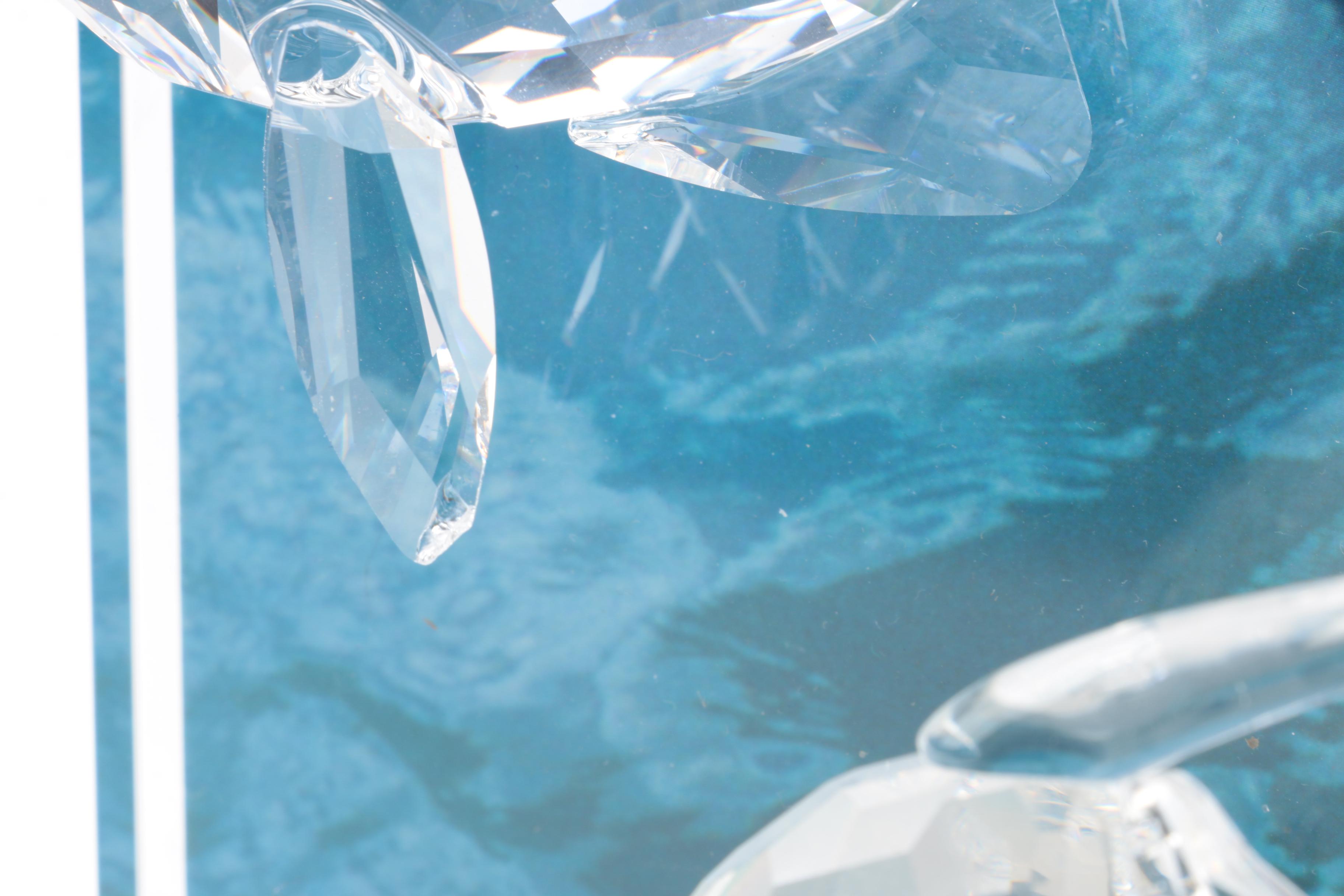 Swarovski Crystal "Wonders of the Sea" Angel Fish