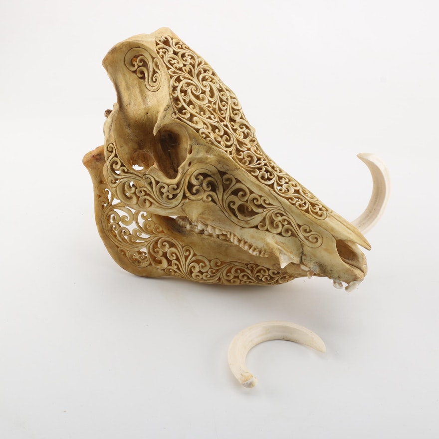 Carved Boar Skull