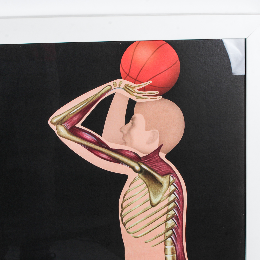 Offset Lithograph Poster of Human Anatomy