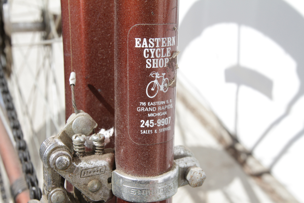 Vintage Schwinn World Tourist Bicycle