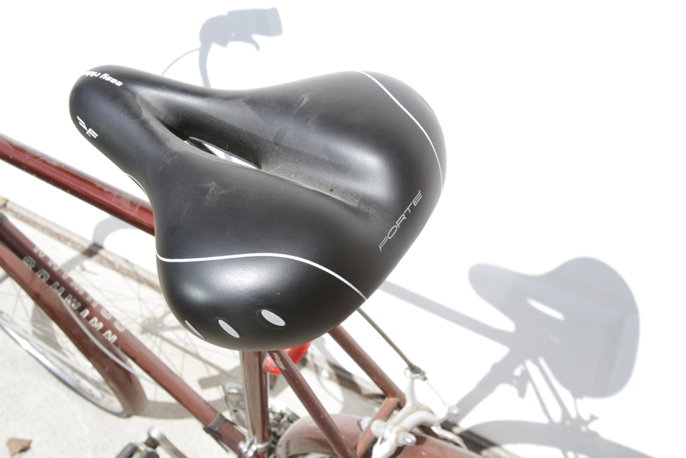 Vintage Schwinn World Tourist Bicycle