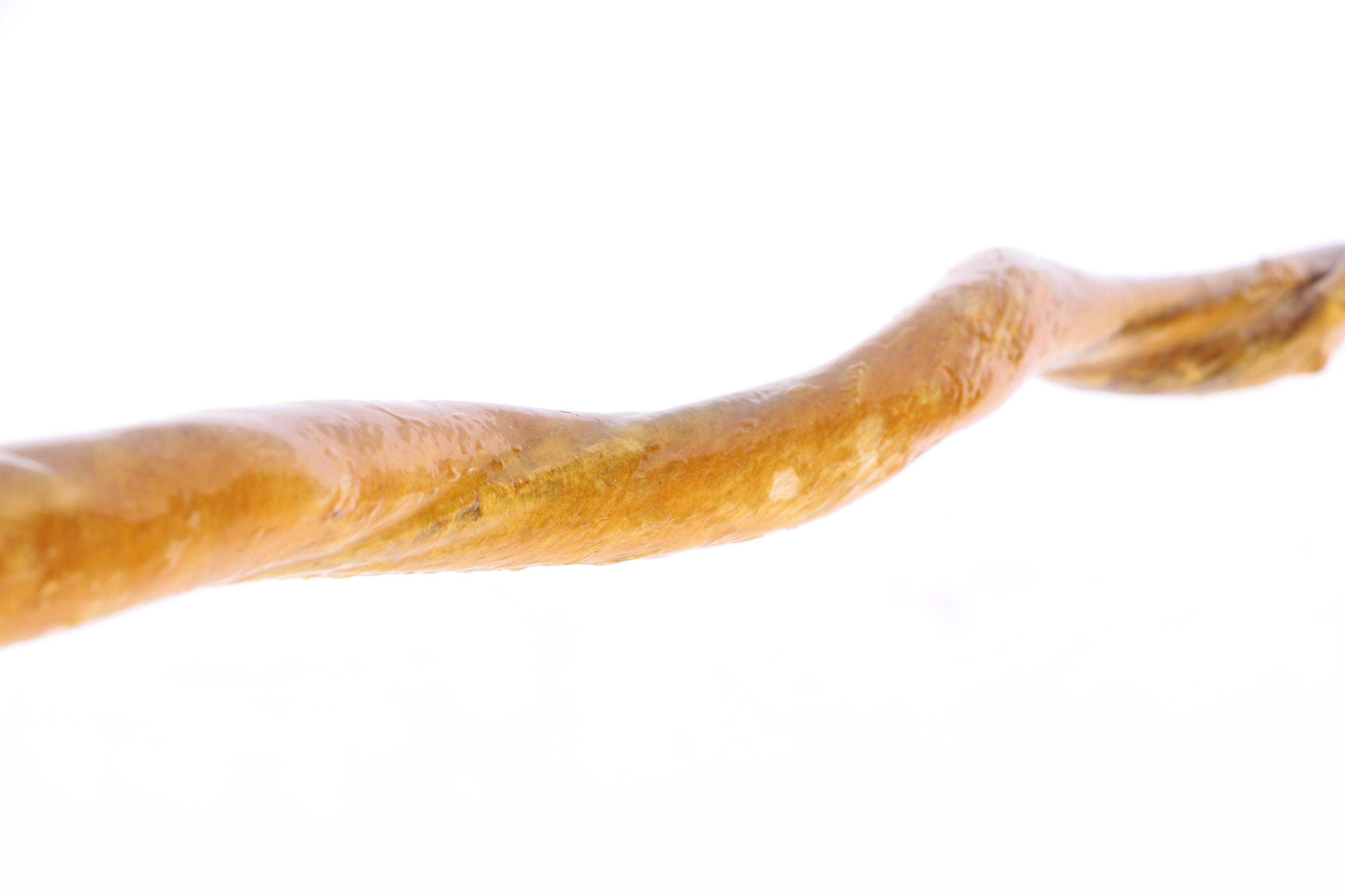 Crook-Handled Bull Organ Cane