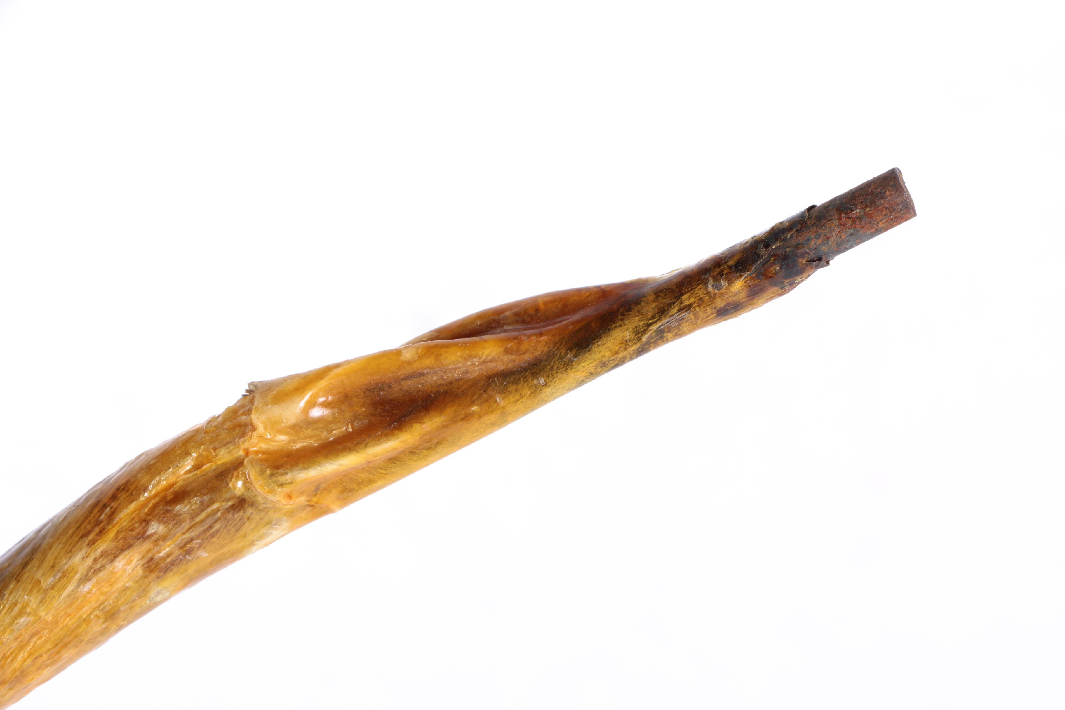 Crook-Handled Bull Organ Cane