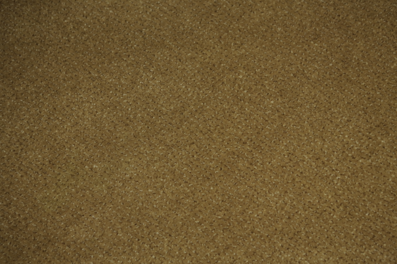 Power-Loomed Tri-Colored Area Rug