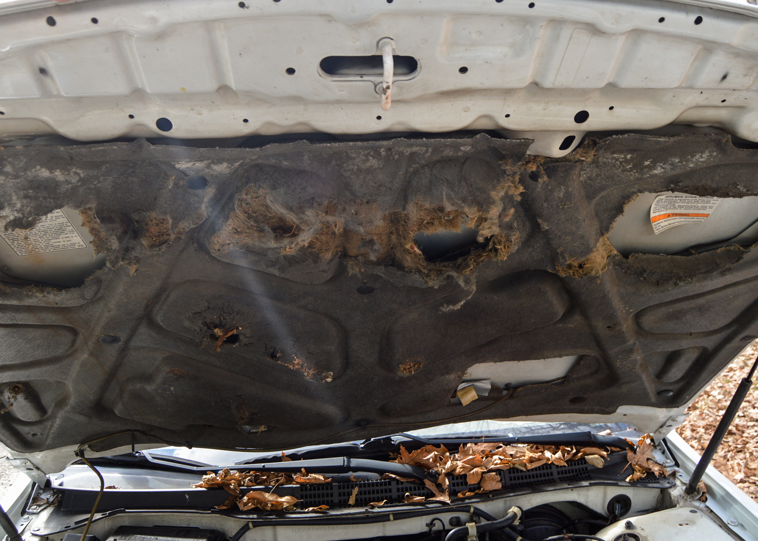 2002 Honda Accord Sedan